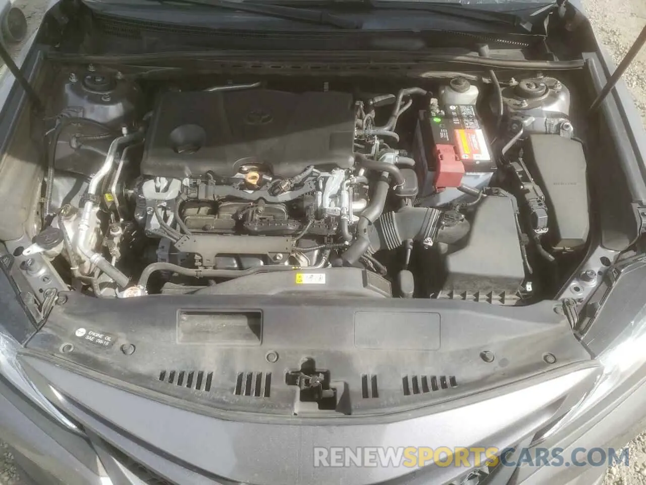 13 fotografías del automóvil dañado 4T1B11HK7KU220048 TOYOTA CAMRY 2019