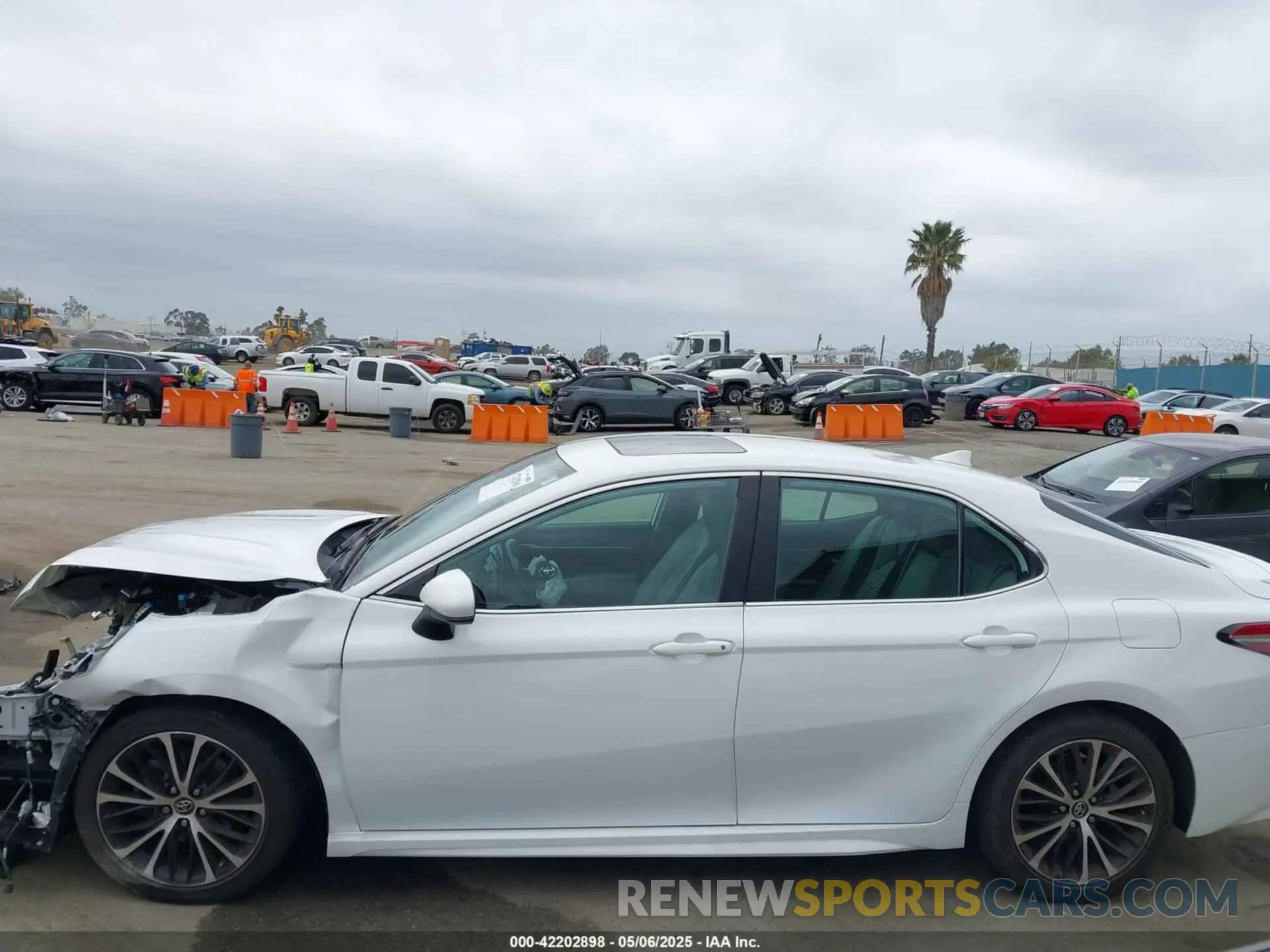 15 fotografías del automóvil dañado 4T1B11HK7KU223113 TOYOTA CAMRY 2019