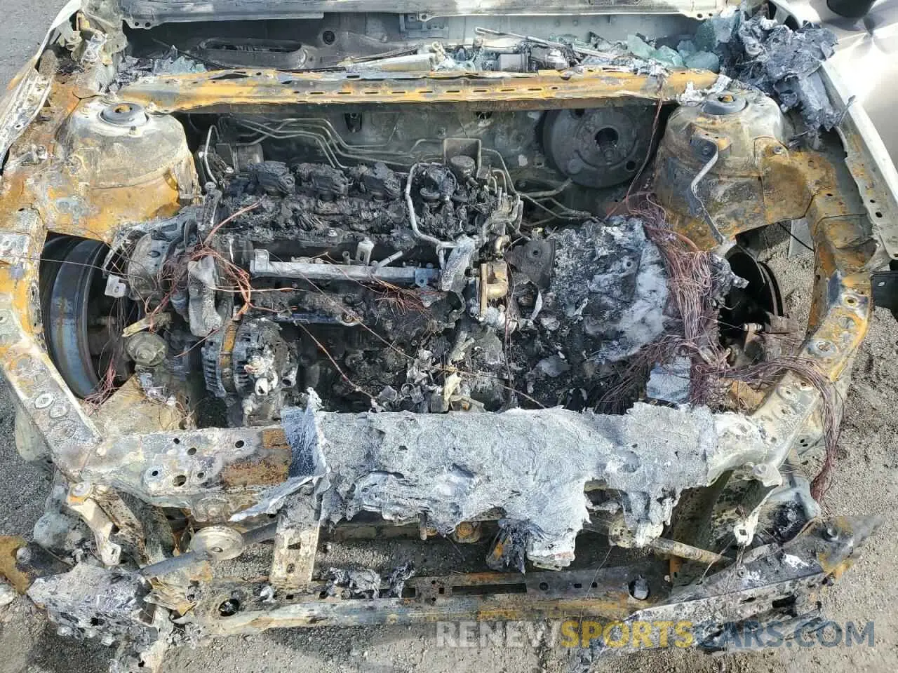 11 fotografías del automóvil dañado 4T1B11HK7KU248657 TOYOTA CAMRY 2019