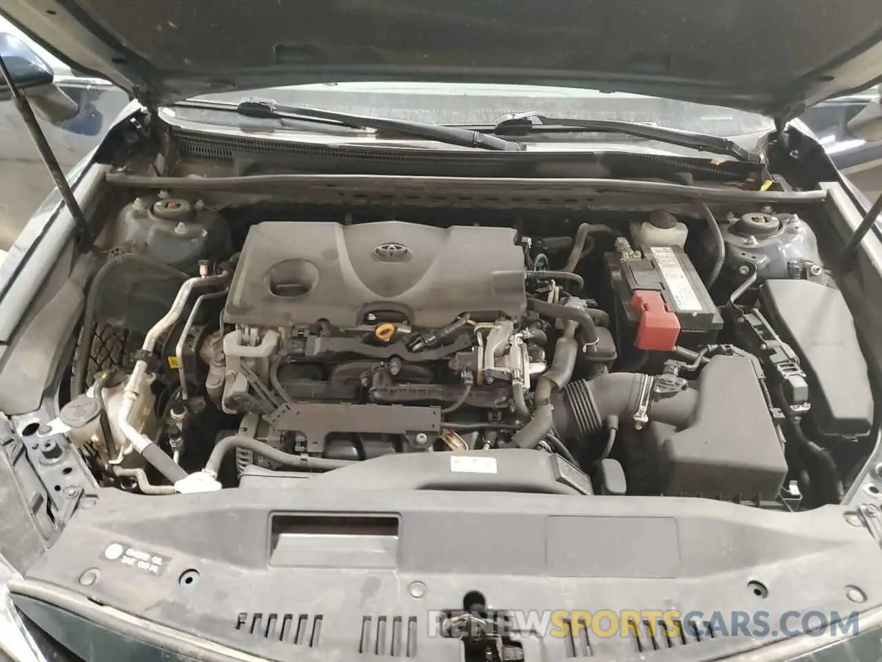 11 fotografías del automóvil dañado 4T1B11HK7KU256001 TOYOTA CAMRY 2019
