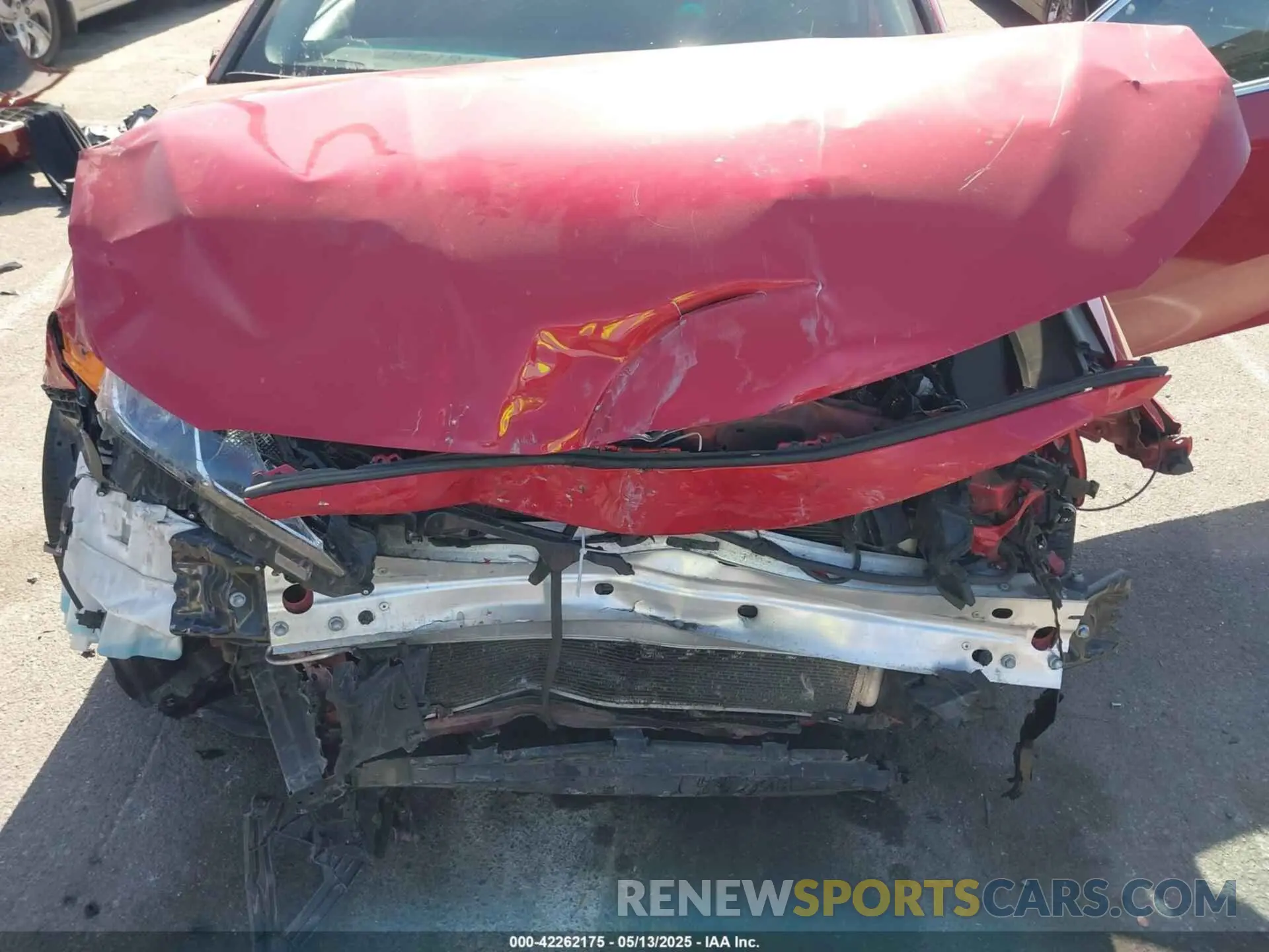 6 fotografías del automóvil dañado 4T1B11HK7KU279195 TOYOTA CAMRY 2019