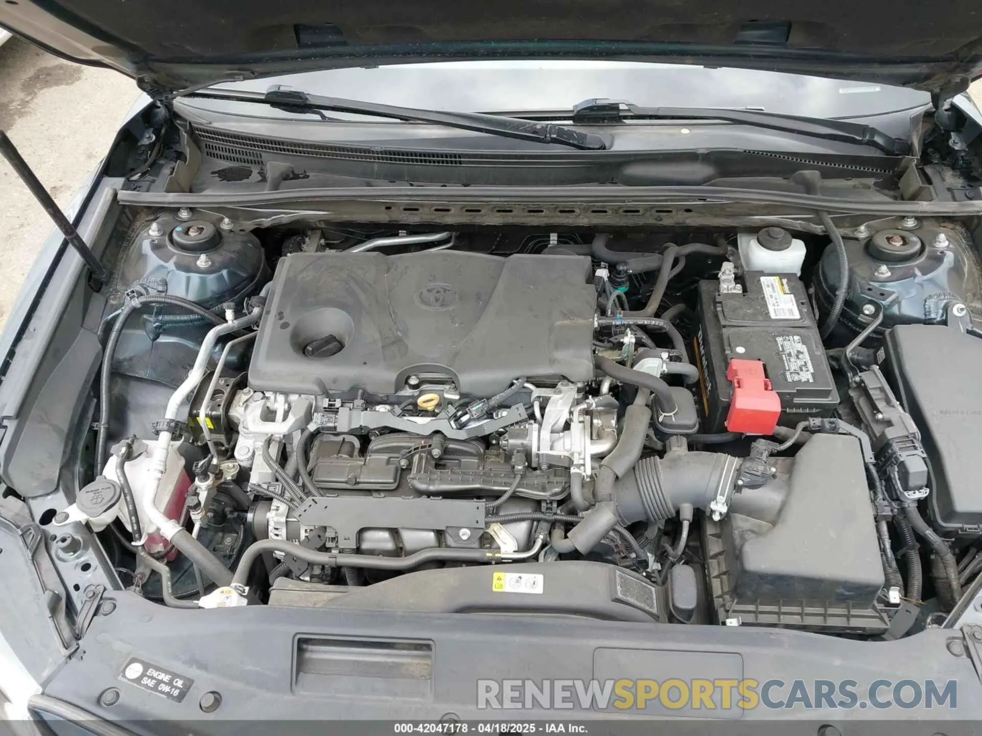 10 fotografías del automóvil dañado 4T1B11HK7KU282596 TOYOTA CAMRY 2019