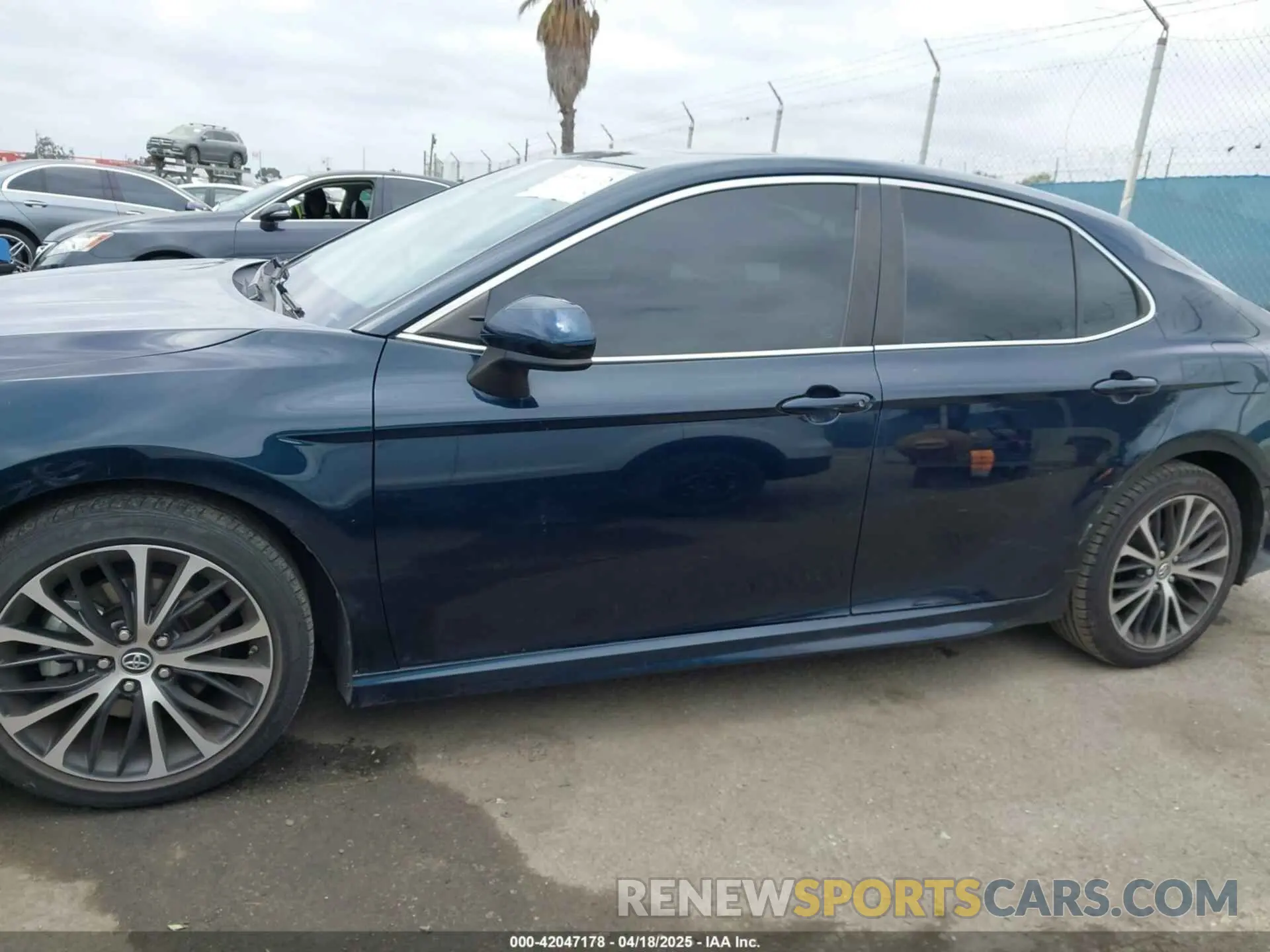 15 fotografías del automóvil dañado 4T1B11HK7KU282596 TOYOTA CAMRY 2019
