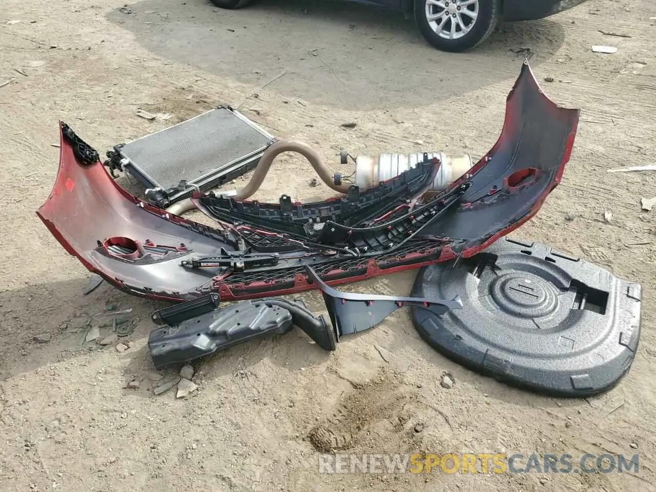 12 fotografías del automóvil dañado 4T1B11HK7KU283151 TOYOTA CAMRY 2019