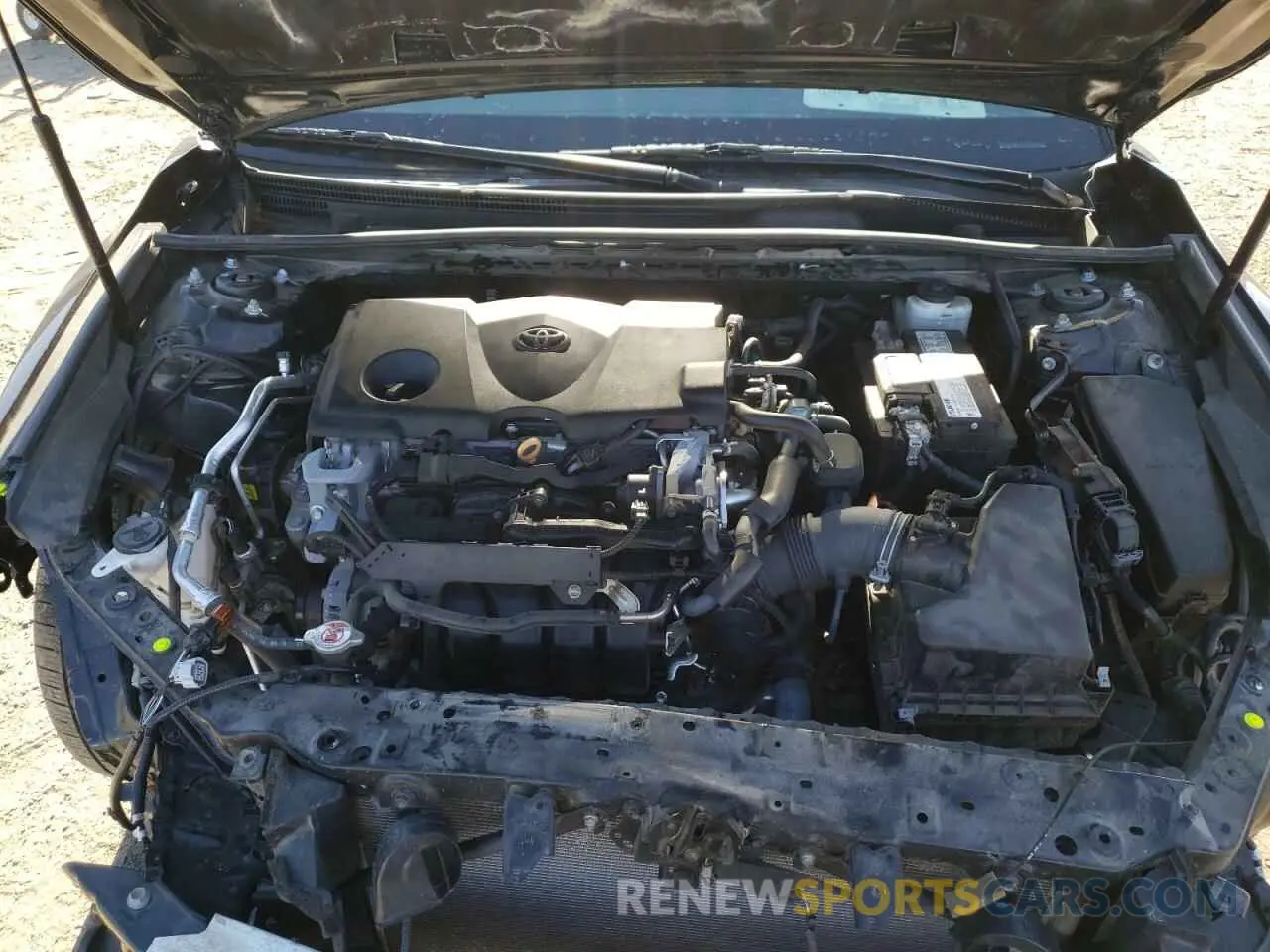 11 fotografías del automóvil dañado 4T1B11HK7KU679757 TOYOTA CAMRY 2019