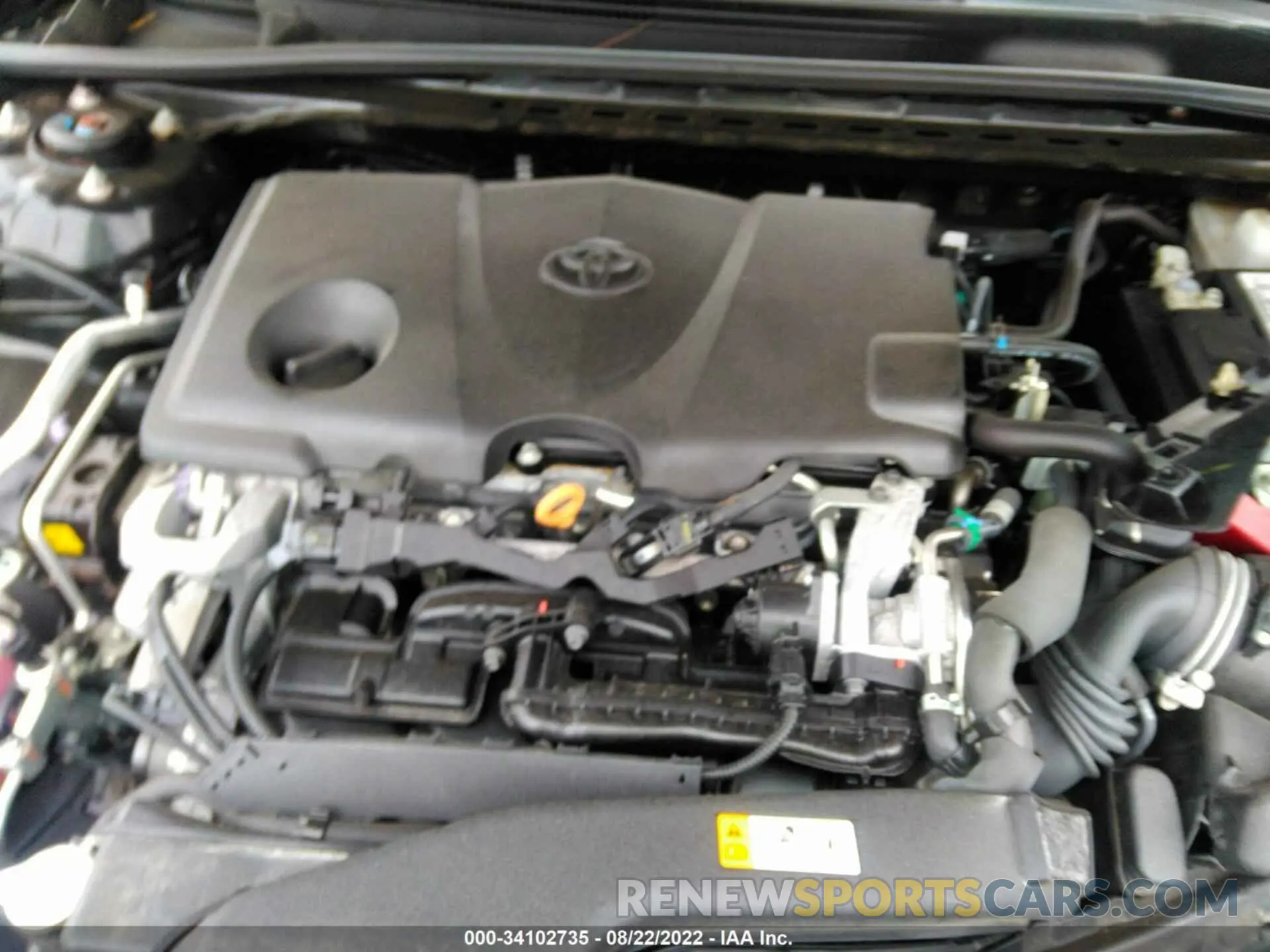 10 fotografías del automóvil dañado 4T1B11HK7KU688829 TOYOTA CAMRY 2019