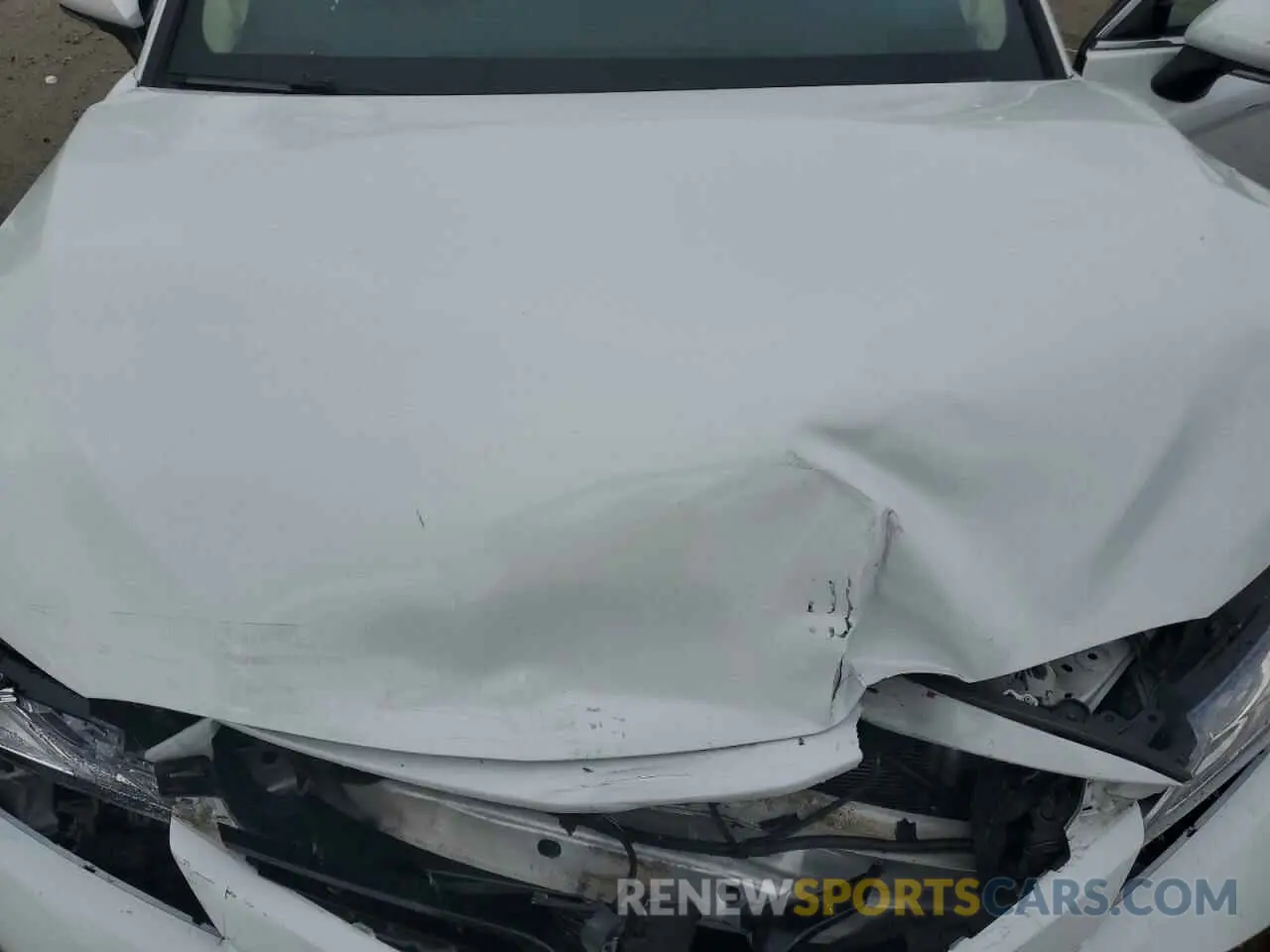 11 fotografías del automóvil dañado 4T1B11HK7KU700459 TOYOTA CAMRY 2019