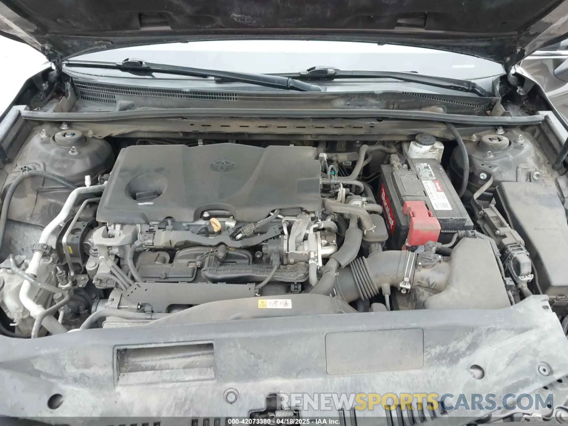 10 fotografías del automóvil dañado 4T1B11HK7KU702244 TOYOTA CAMRY 2019