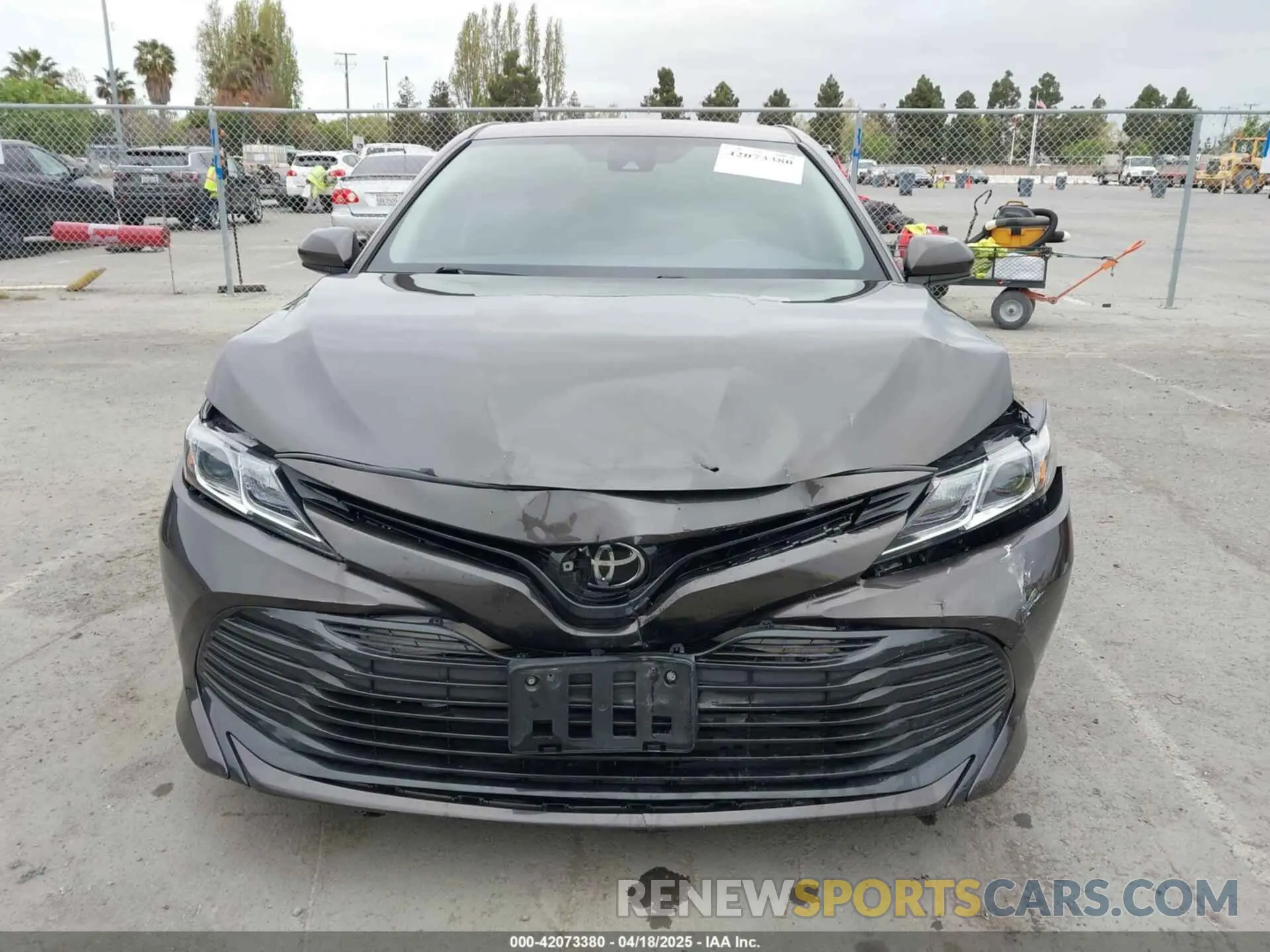 12 fotografías del automóvil dañado 4T1B11HK7KU702244 TOYOTA CAMRY 2019