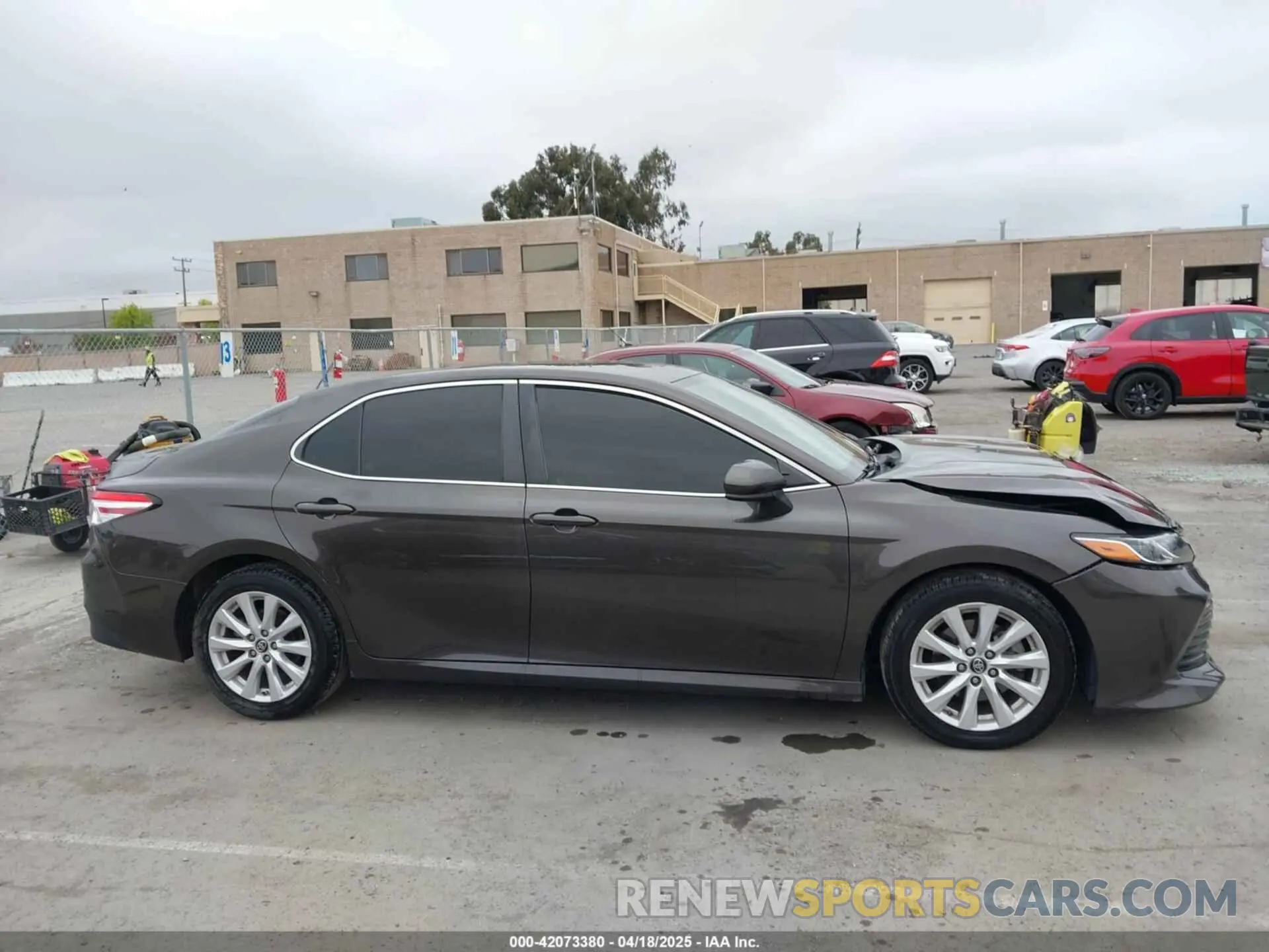 13 fotografías del automóvil dañado 4T1B11HK7KU702244 TOYOTA CAMRY 2019