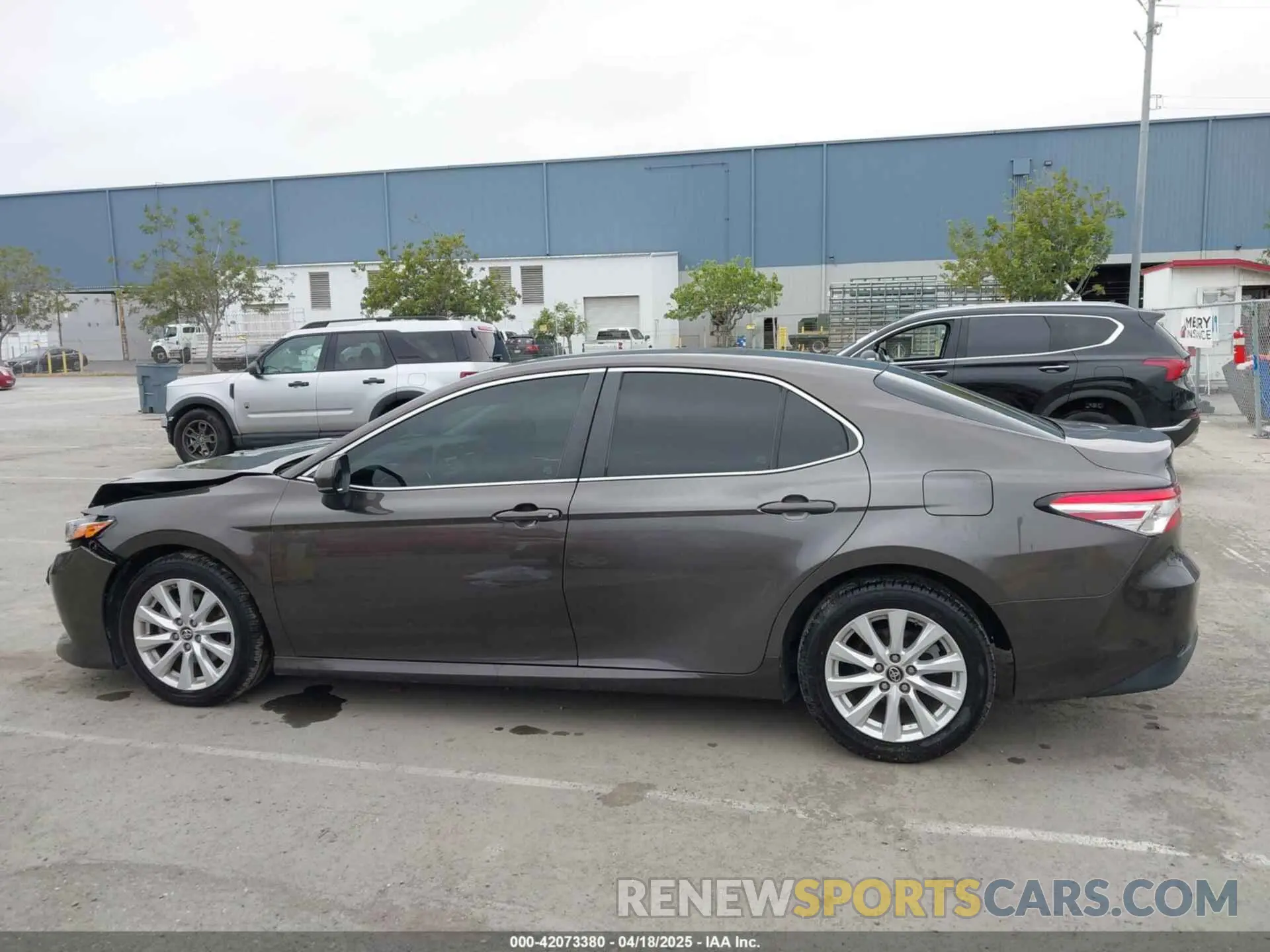 14 fotografías del automóvil dañado 4T1B11HK7KU702244 TOYOTA CAMRY 2019
