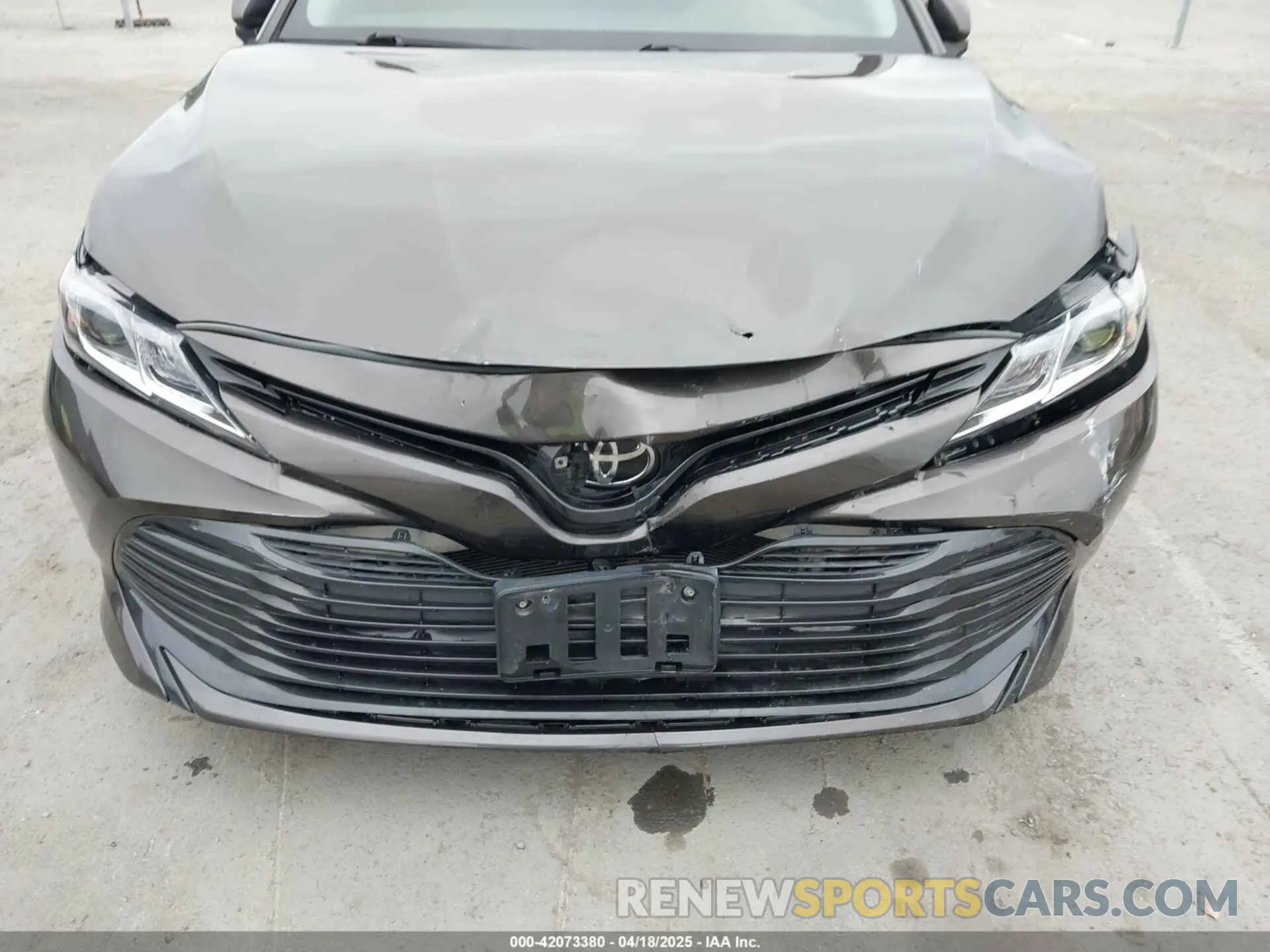 6 fotografías del automóvil dañado 4T1B11HK7KU702244 TOYOTA CAMRY 2019