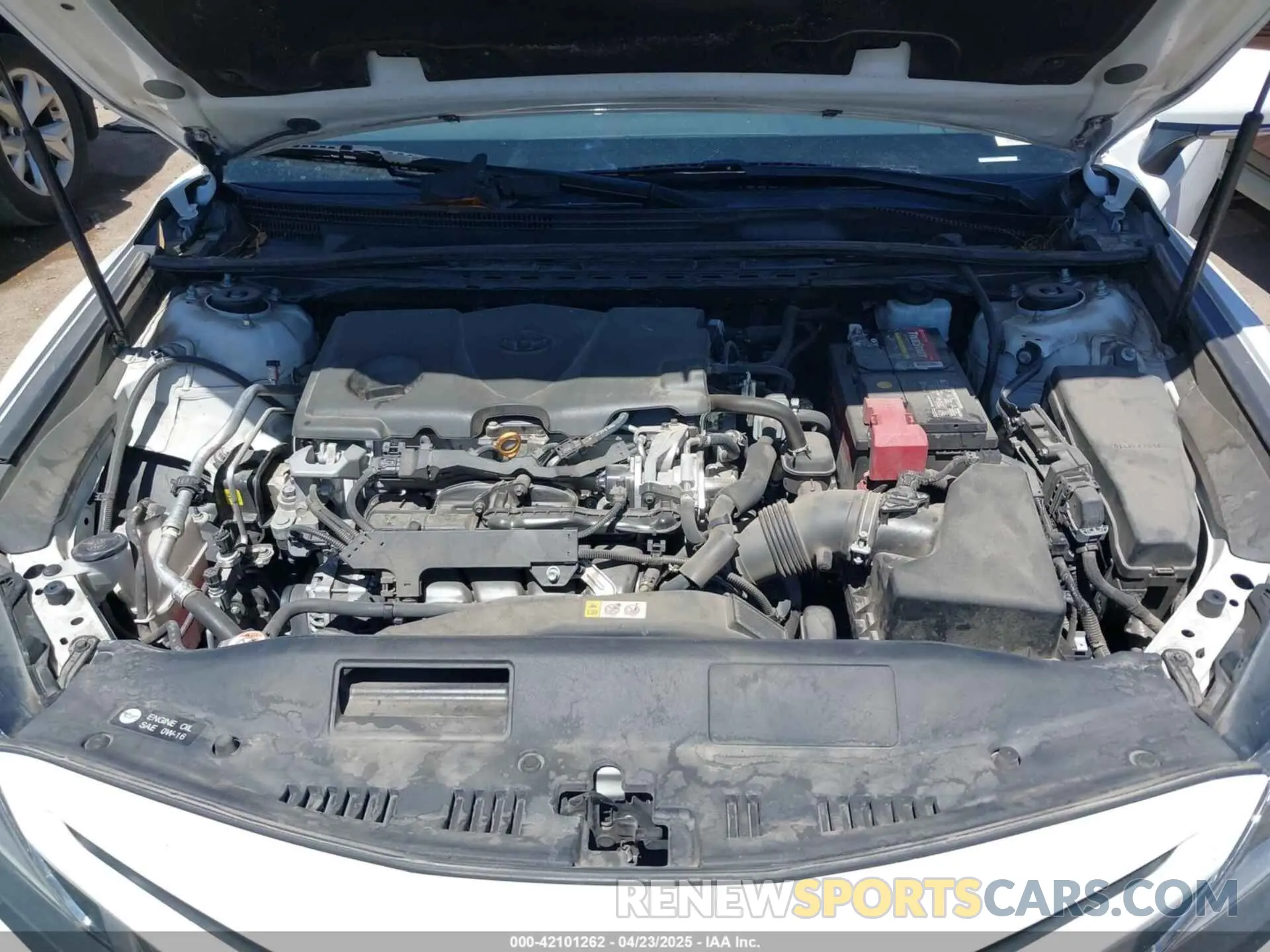 10 fotografías del automóvil dañado 4T1B11HK7KU702969 TOYOTA CAMRY 2019