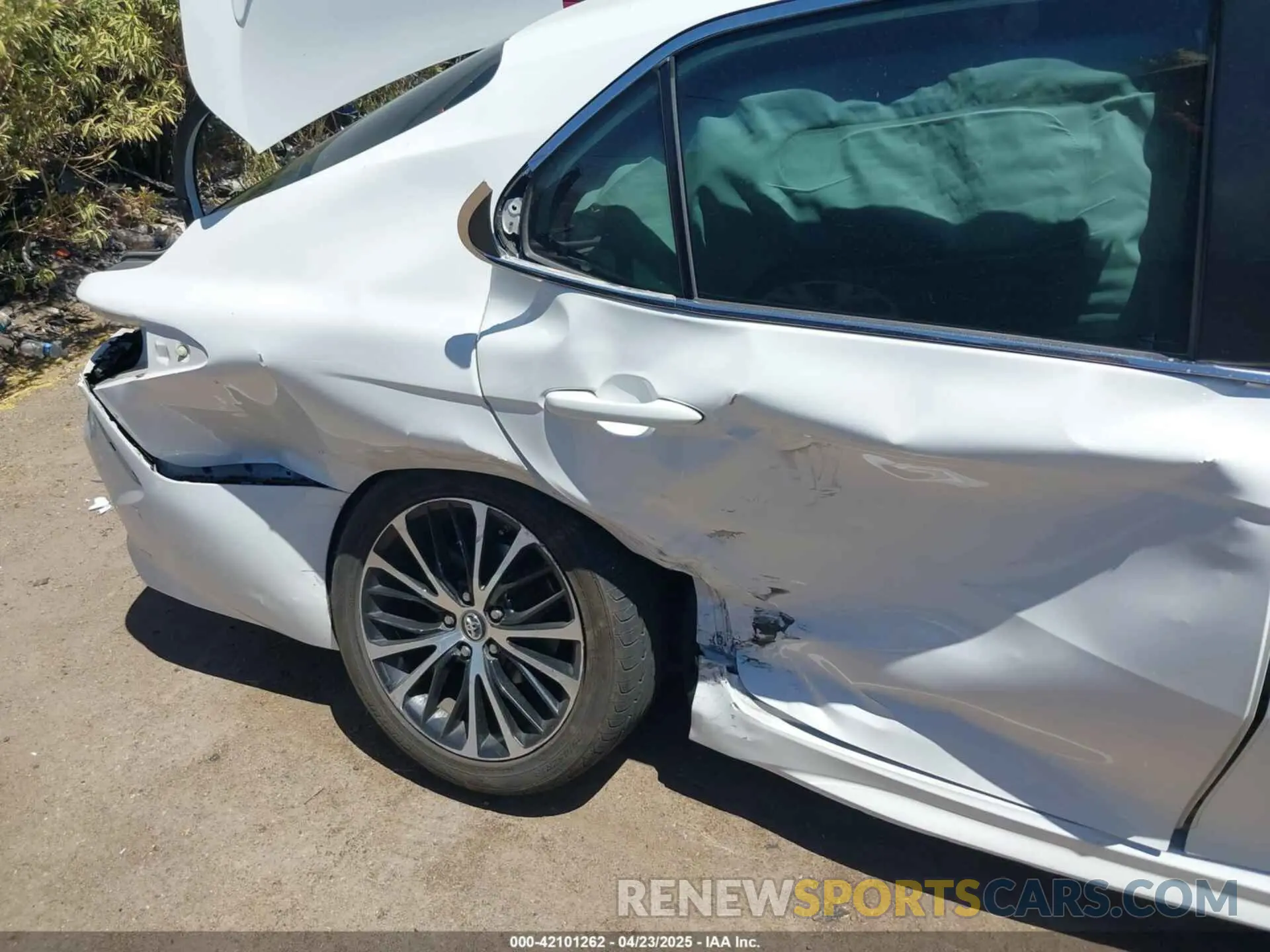 6 fotografías del automóvil dañado 4T1B11HK7KU702969 TOYOTA CAMRY 2019
