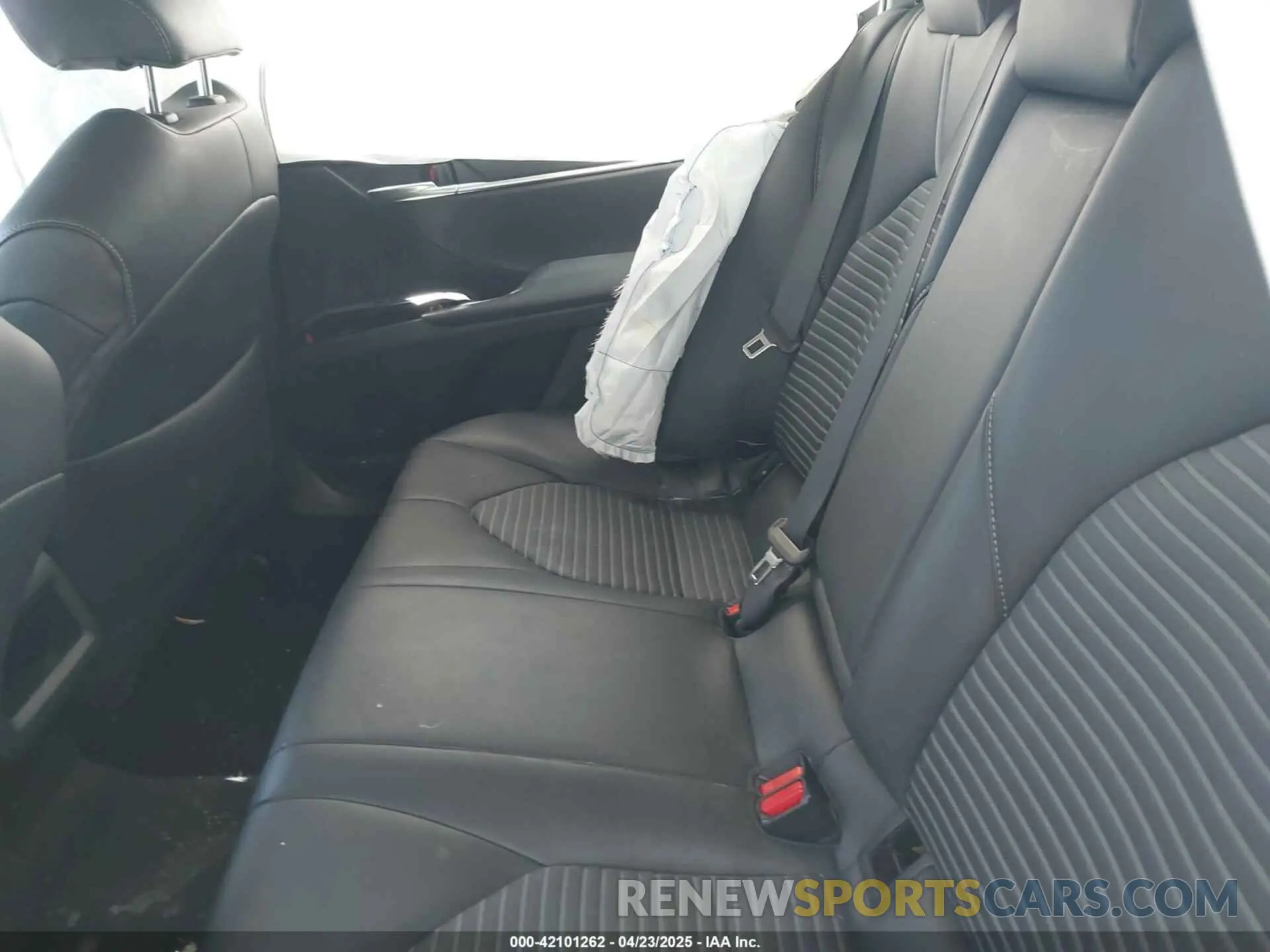 8 fotografías del automóvil dañado 4T1B11HK7KU702969 TOYOTA CAMRY 2019