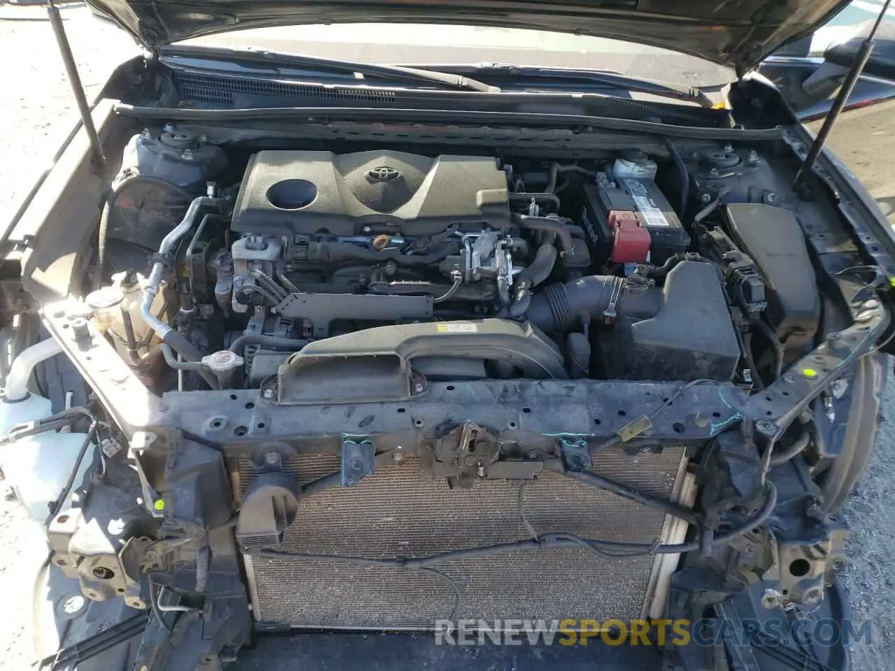 11 fotografías del automóvil dañado 4T1B11HK7KU721456 TOYOTA CAMRY 2019