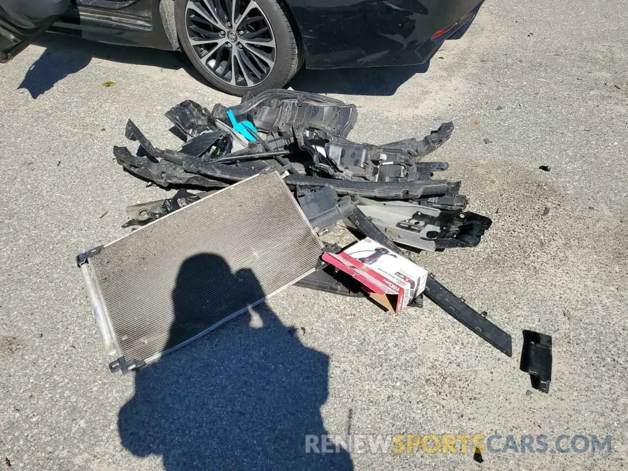 12 fotografías del automóvil dañado 4T1B11HK7KU722560 TOYOTA CAMRY 2019