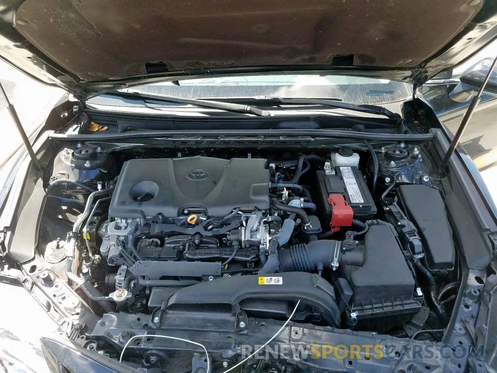 7 fotografías del automóvil dañado 4T1B11HK7KU730304 TOYOTA CAMRY 2019