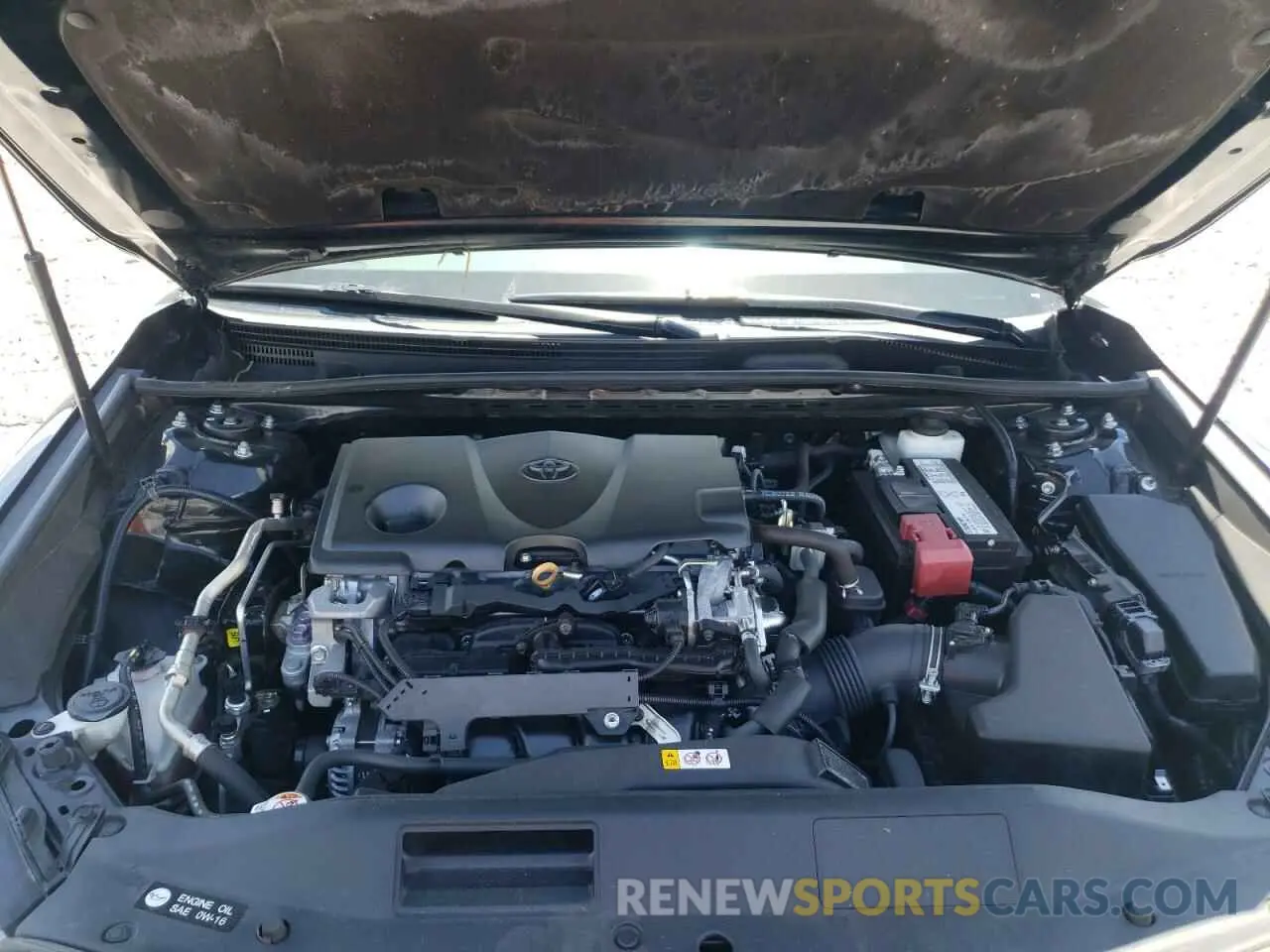 7 fotografías del automóvil dañado 4T1B11HK7KU732005 TOYOTA CAMRY 2019