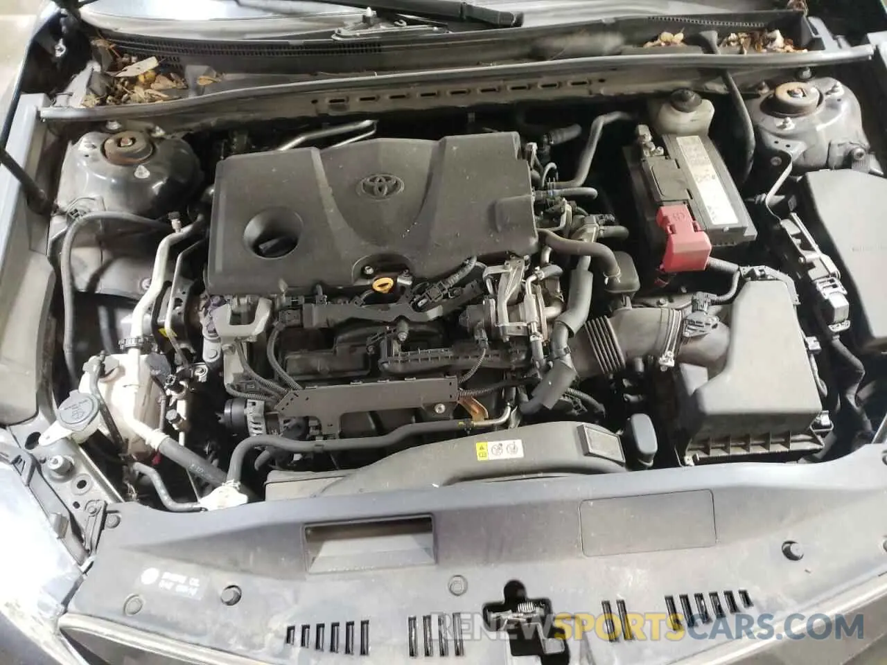 11 fotografías del automóvil dañado 4T1B11HK7KU744297 TOYOTA CAMRY 2019