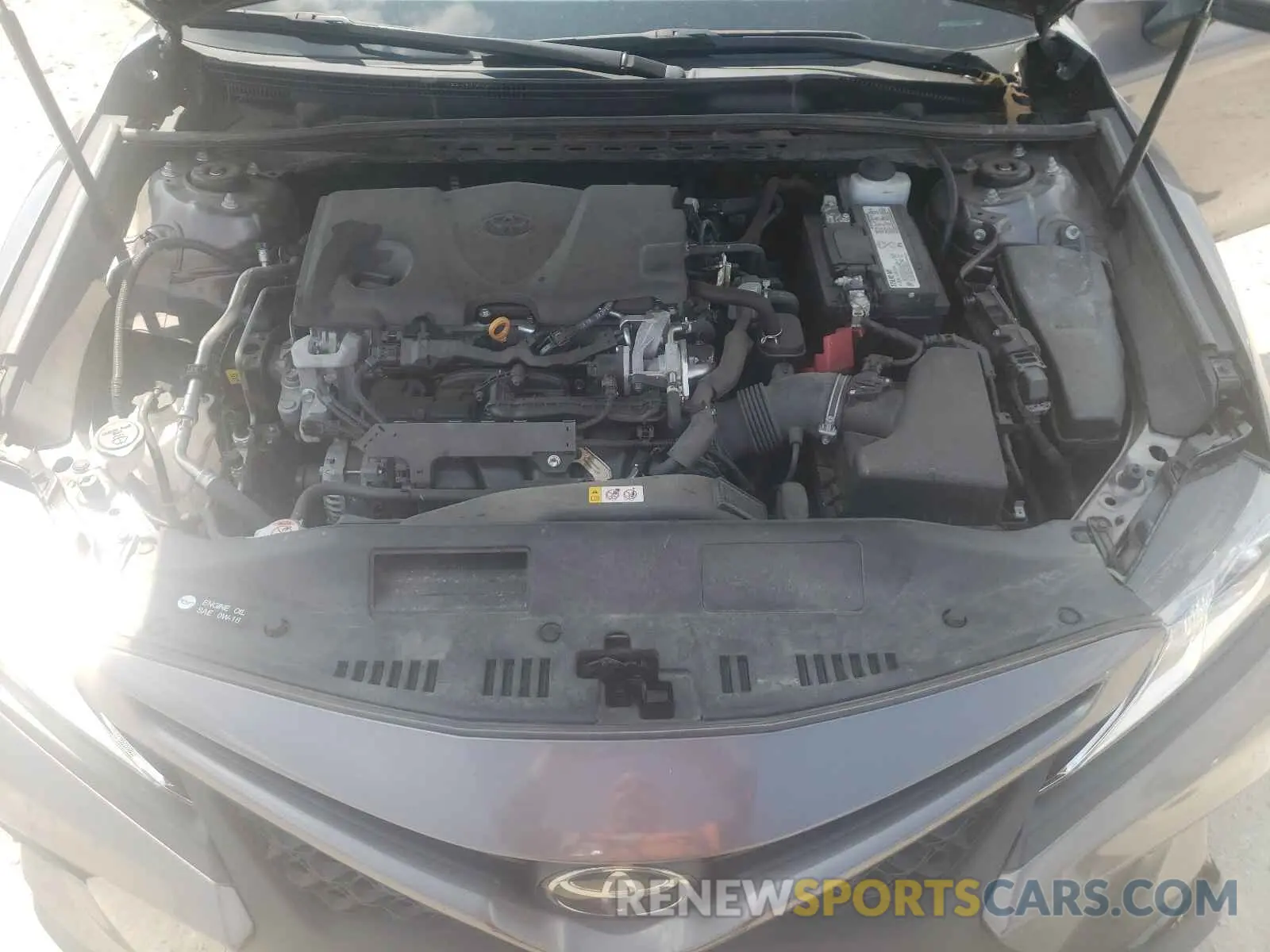 7 fotografías del automóvil dañado 4T1B11HK7KU773945 TOYOTA CAMRY 2019