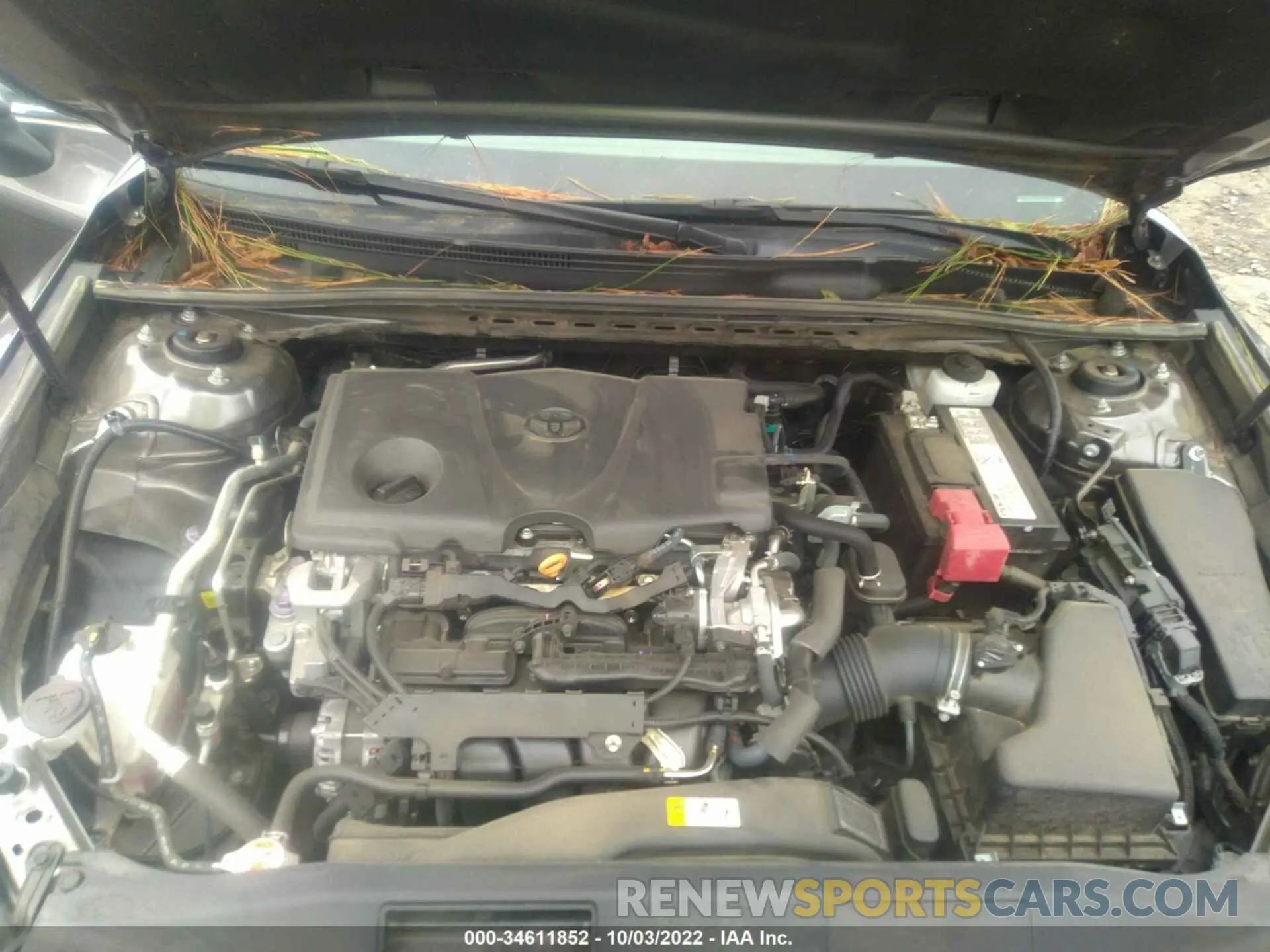 10 fotografías del automóvil dañado 4T1B11HK7KU844822 TOYOTA CAMRY 2019