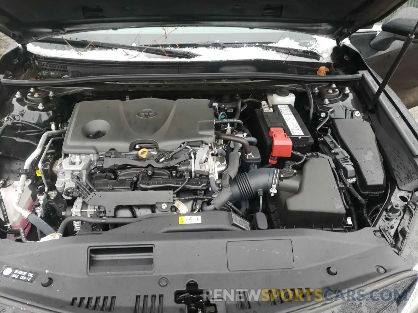 7 fotografías del automóvil dañado 4T1B11HK7KU849163 TOYOTA CAMRY 2019
