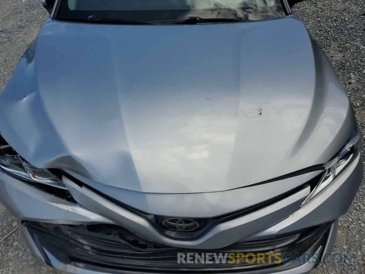12 fotografías del automóvil dañado 4T1B11HK8KU186959 TOYOTA CAMRY 2019