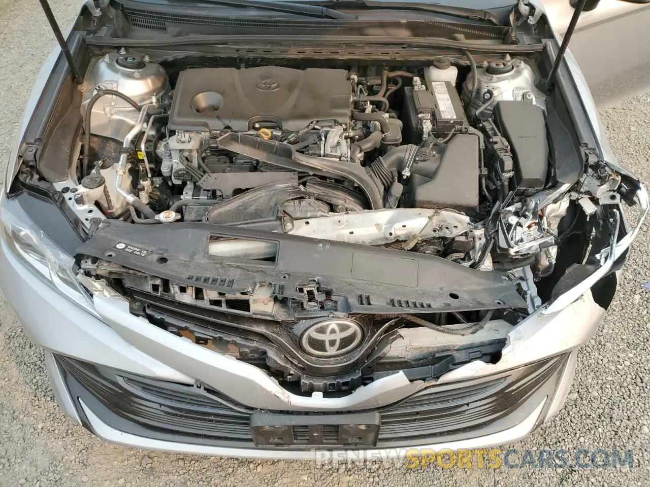 12 fotografías del automóvil dañado 4T1B11HK8KU188985 TOYOTA CAMRY 2019