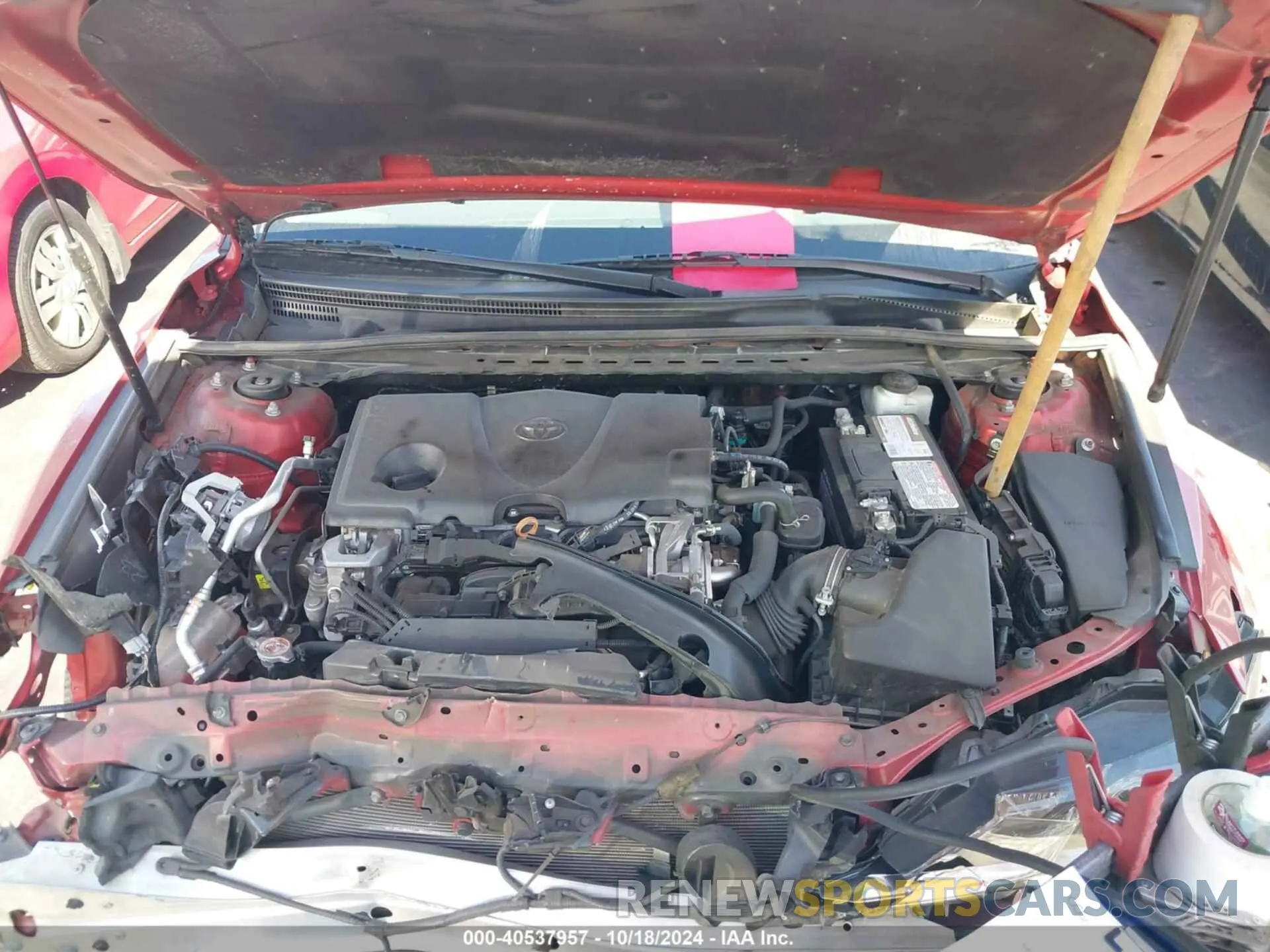 10 fotografías del automóvil dañado 4T1B11HK8KU193460 TOYOTA CAMRY 2019