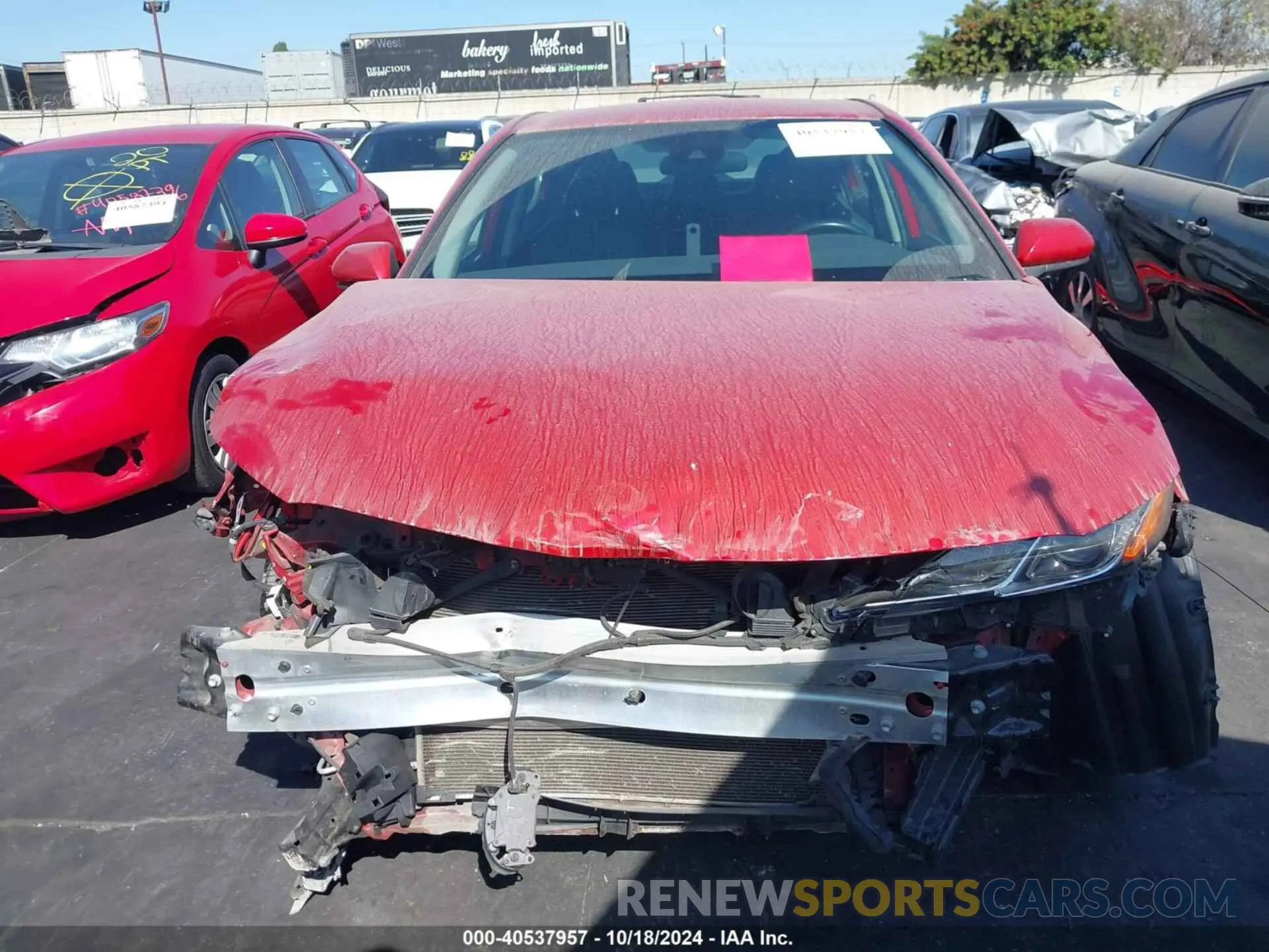 13 fotografías del automóvil dañado 4T1B11HK8KU193460 TOYOTA CAMRY 2019
