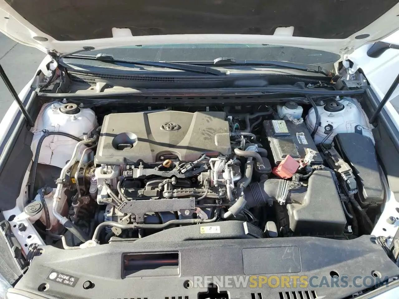 11 fotografías del automóvil dañado 4T1B11HK8KU195080 TOYOTA CAMRY 2019