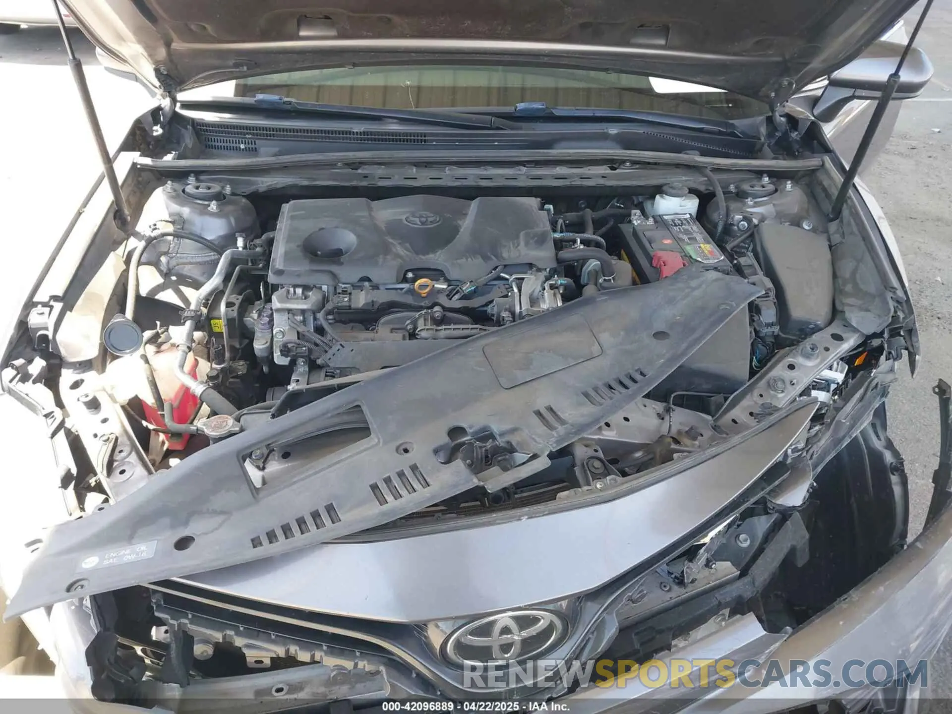 10 fotografías del automóvil dañado 4T1B11HK8KU204599 TOYOTA CAMRY 2019