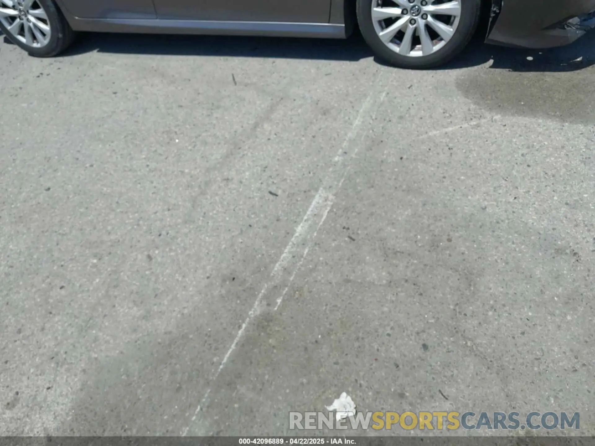 14 fotografías del automóvil dañado 4T1B11HK8KU204599 TOYOTA CAMRY 2019