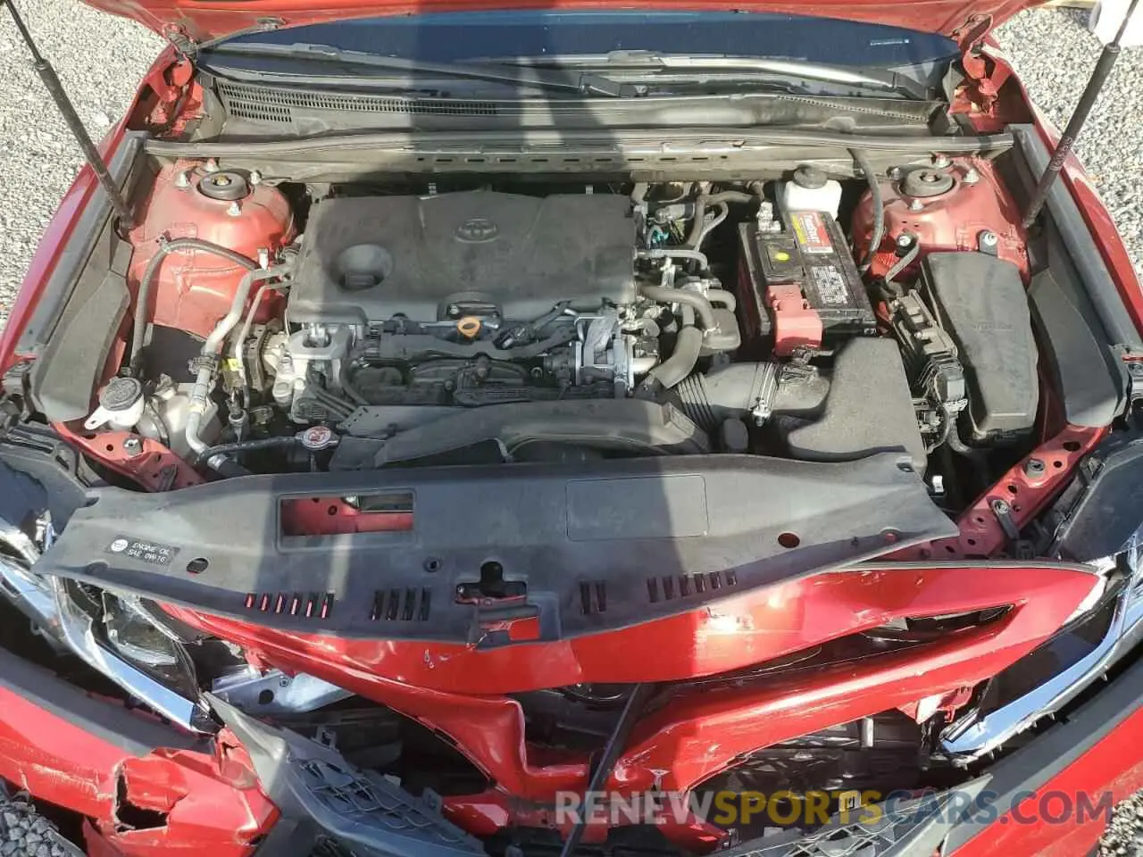 12 fotografías del automóvil dañado 4T1B11HK8KU212492 TOYOTA CAMRY 2019
