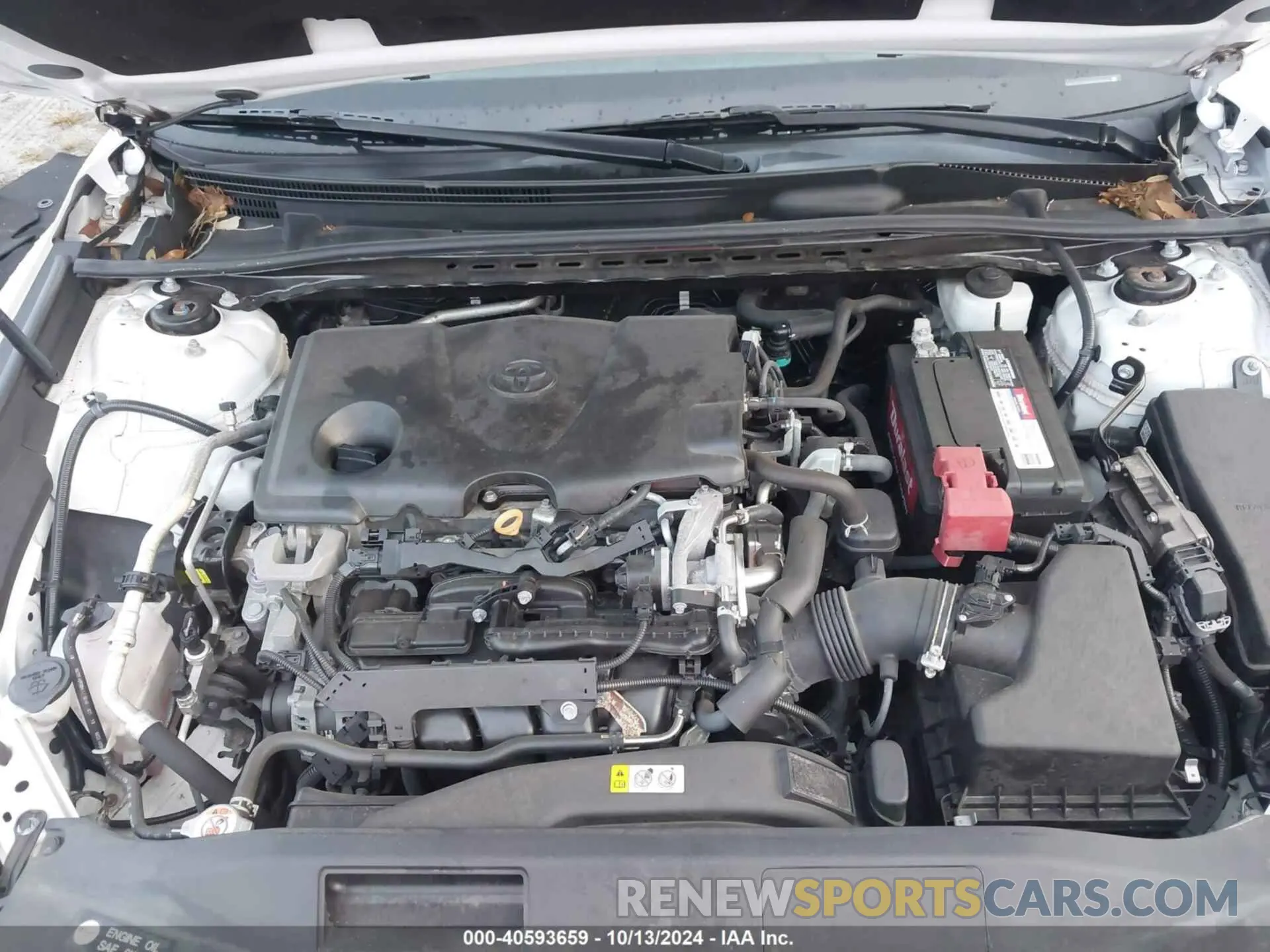10 fotografías del automóvil dañado 4T1B11HK8KU224240 TOYOTA CAMRY 2019