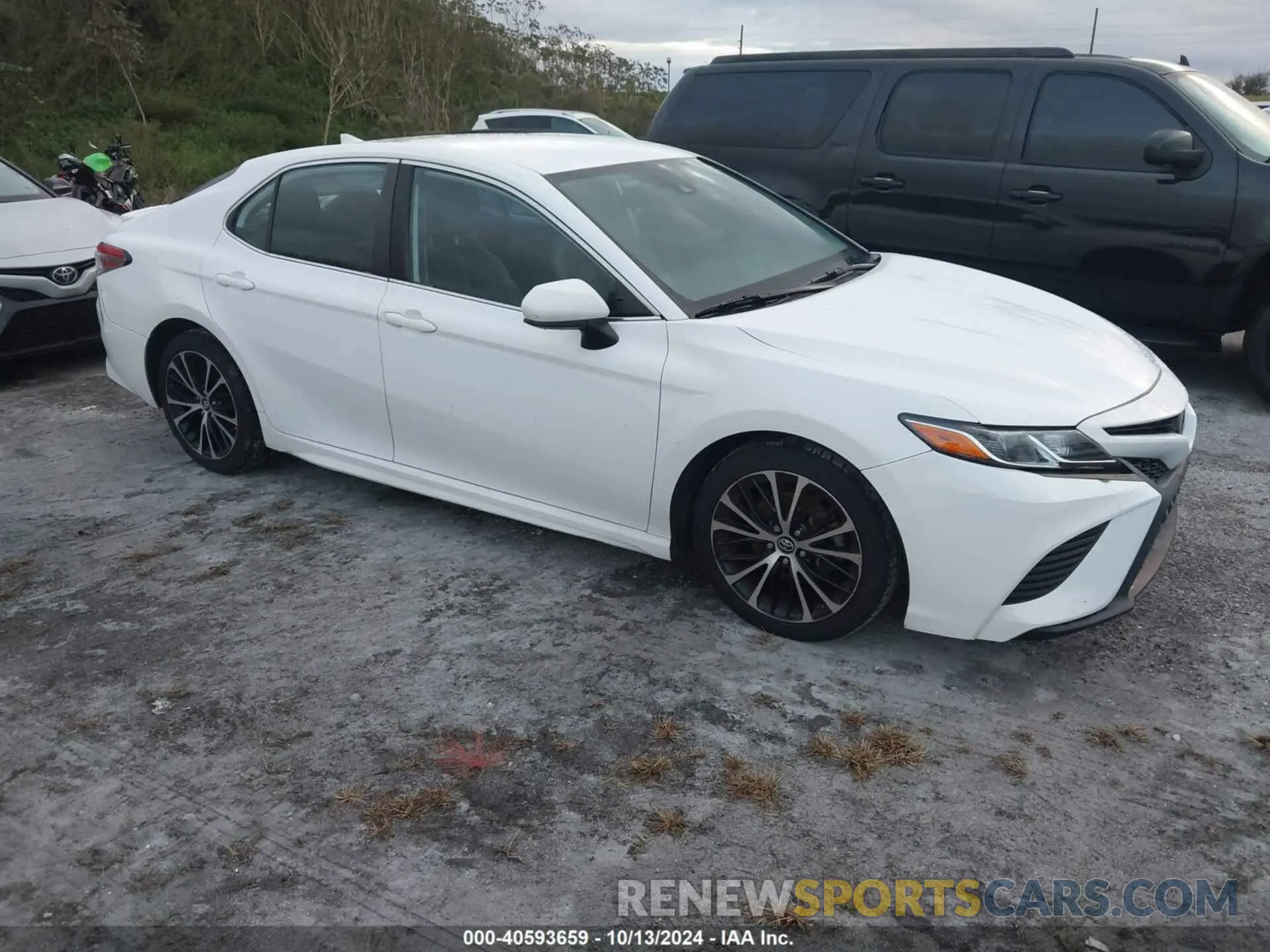 13 fotografías del automóvil dañado 4T1B11HK8KU224240 TOYOTA CAMRY 2019