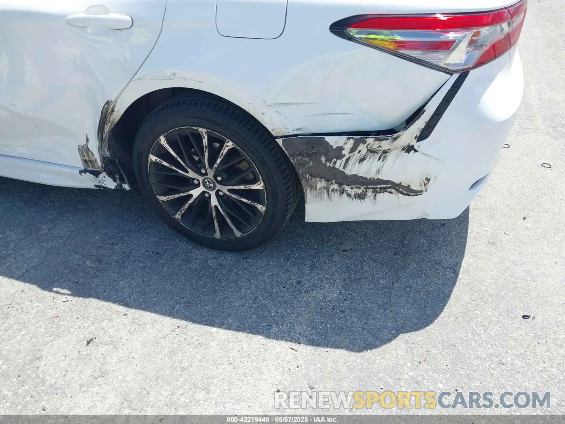 6 fotografías del automóvil dañado 4T1B11HK8KU226604 TOYOTA CAMRY 2019
