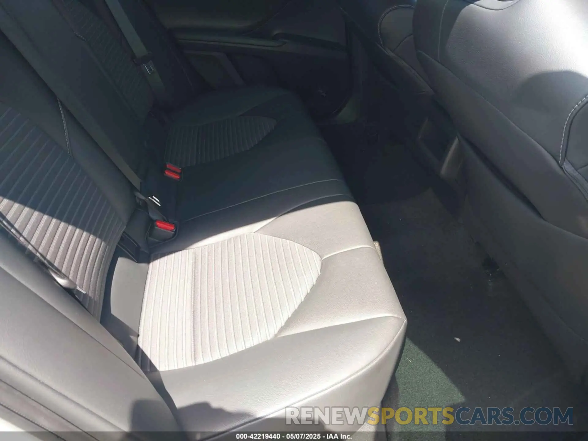 8 fotografías del automóvil dañado 4T1B11HK8KU226604 TOYOTA CAMRY 2019
