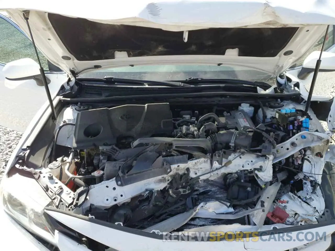 11 fotografías del automóvil dañado 4T1B11HK8KU228207 TOYOTA CAMRY 2019