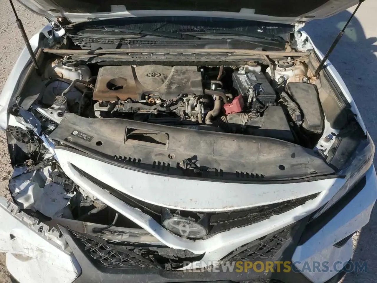 11 fotografías del automóvil dañado 4T1B11HK8KU237909 TOYOTA CAMRY 2019