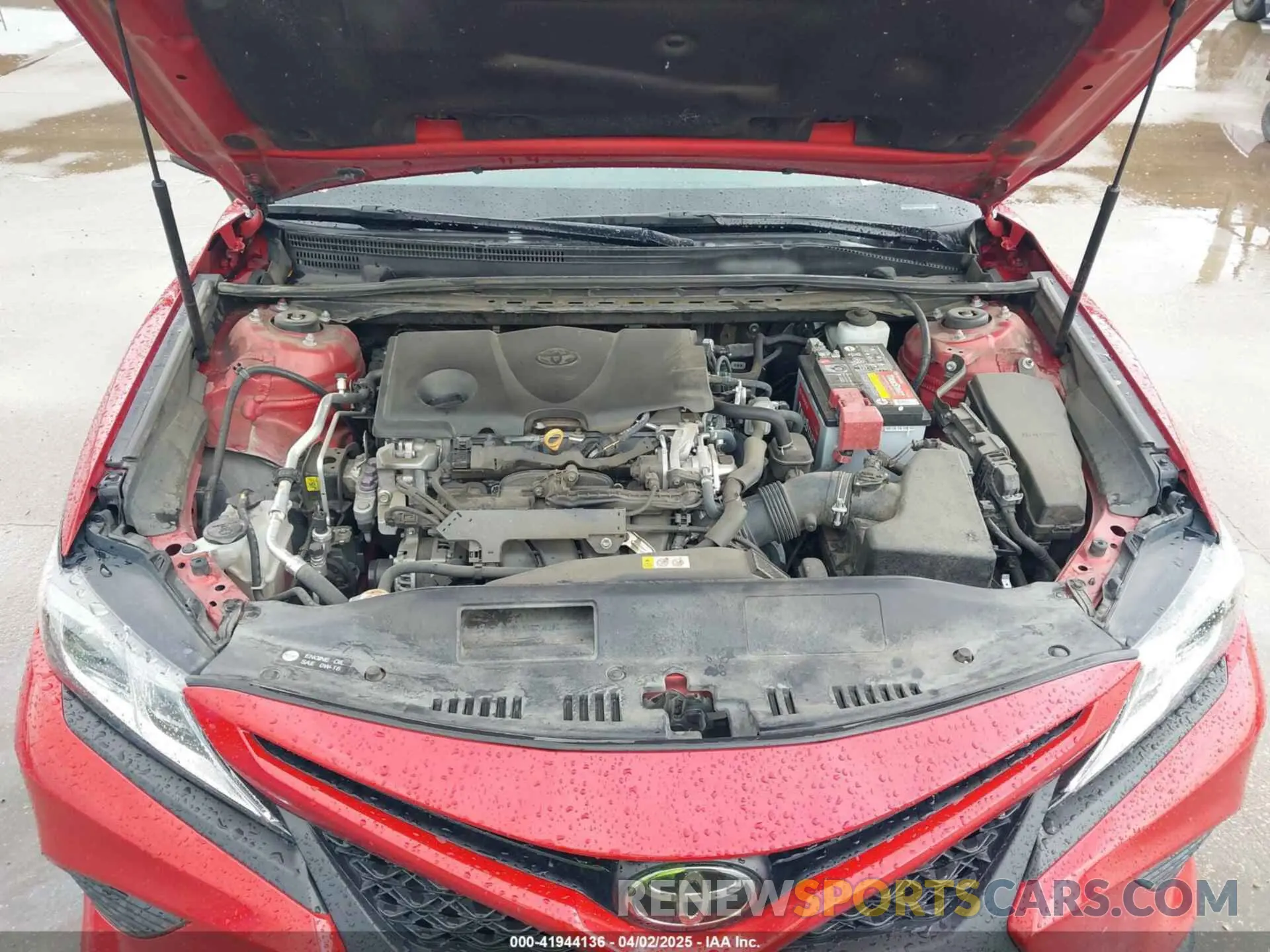 10 fotografías del automóvil dañado 4T1B11HK8KU239899 TOYOTA CAMRY 2019
