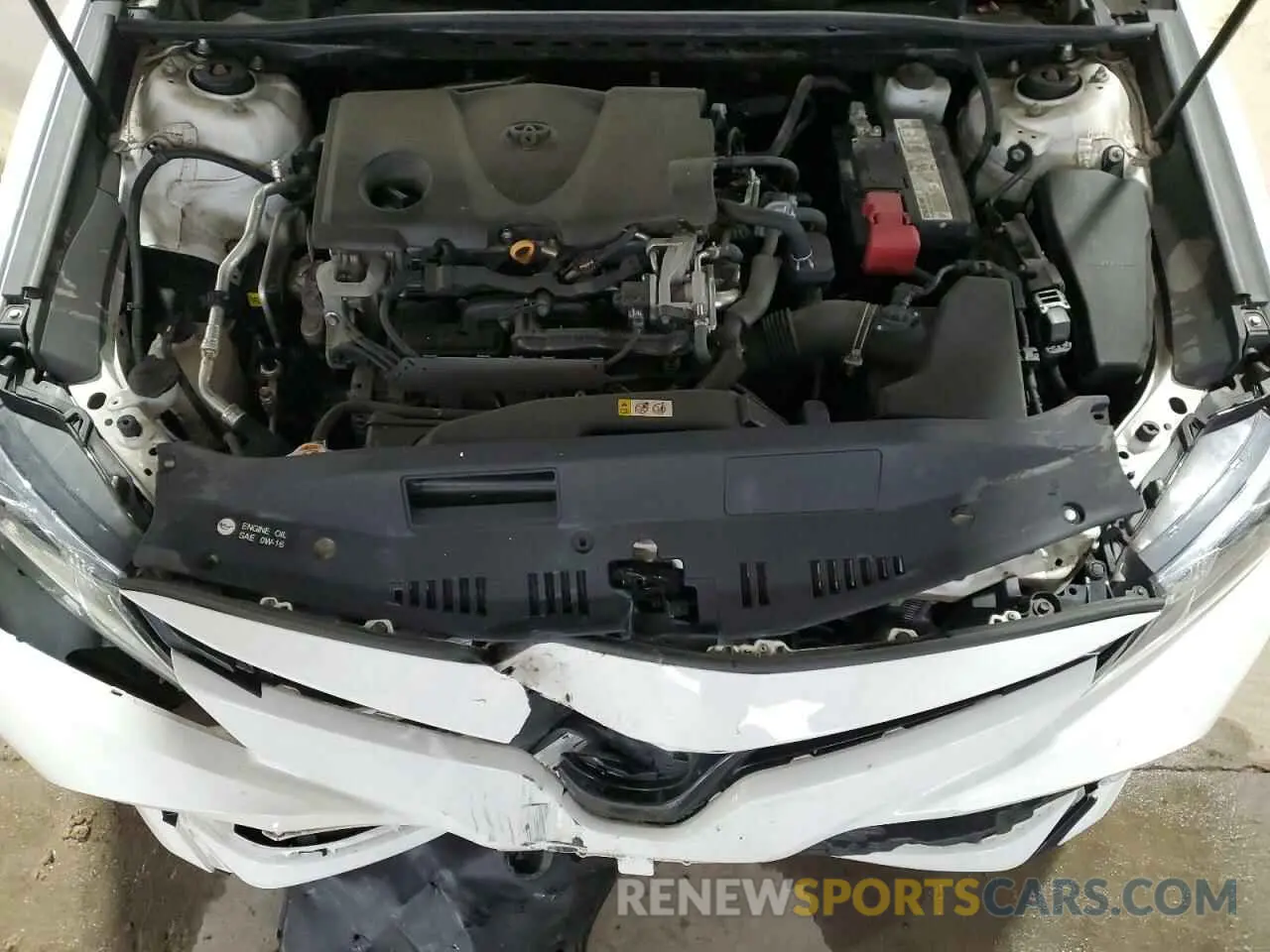 11 fotografías del automóvil dañado 4T1B11HK8KU242219 TOYOTA CAMRY 2019