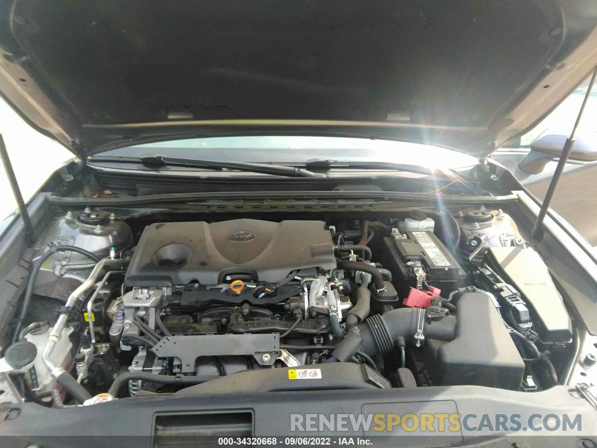 10 fotografías del automóvil dañado 4T1B11HK8KU244858 TOYOTA CAMRY 2019