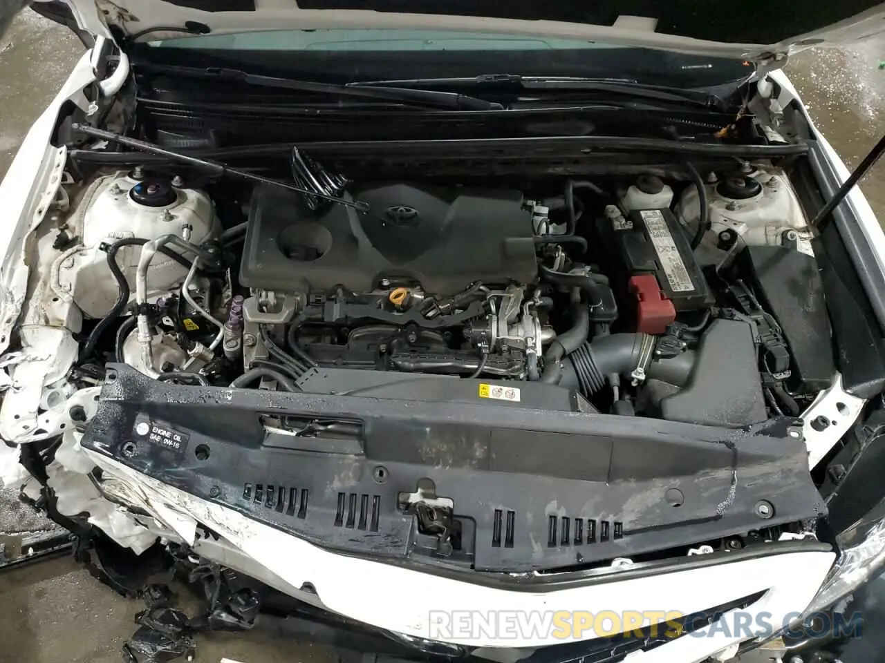 11 fotografías del automóvil dañado 4T1B11HK8KU247761 TOYOTA CAMRY 2019