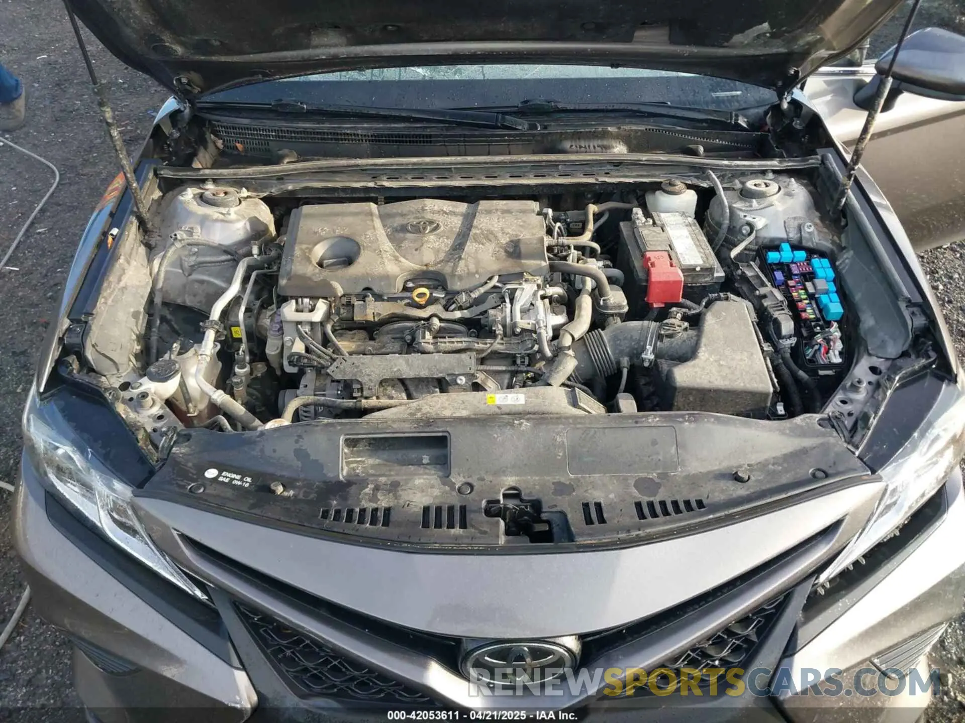10 fotografías del automóvil dañado 4T1B11HK8KU258078 TOYOTA CAMRY 2019