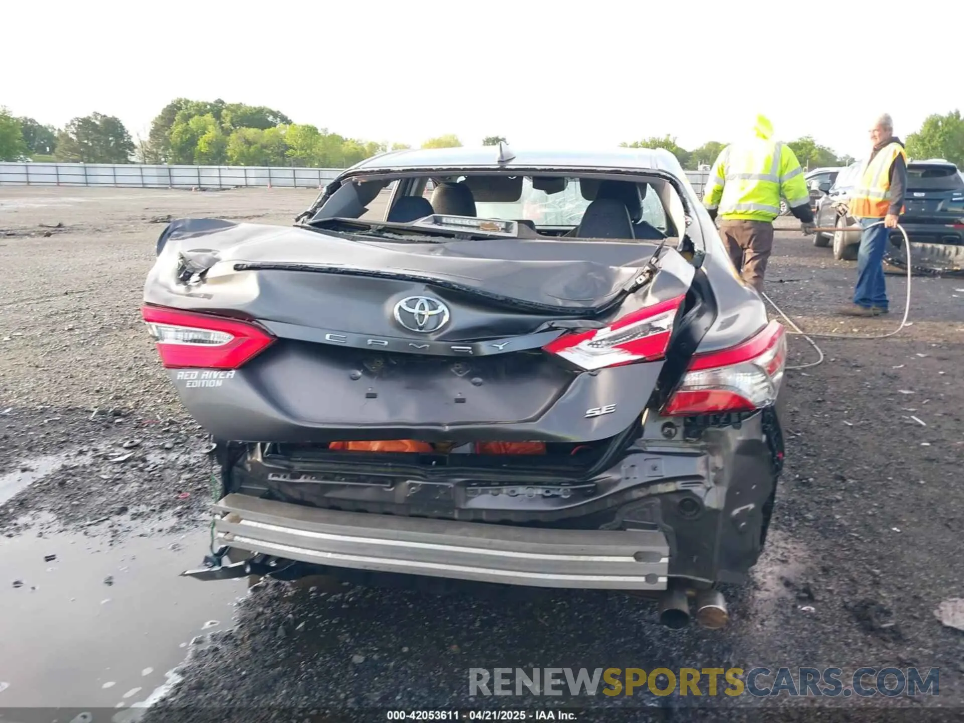 16 fotografías del automóvil dañado 4T1B11HK8KU258078 TOYOTA CAMRY 2019