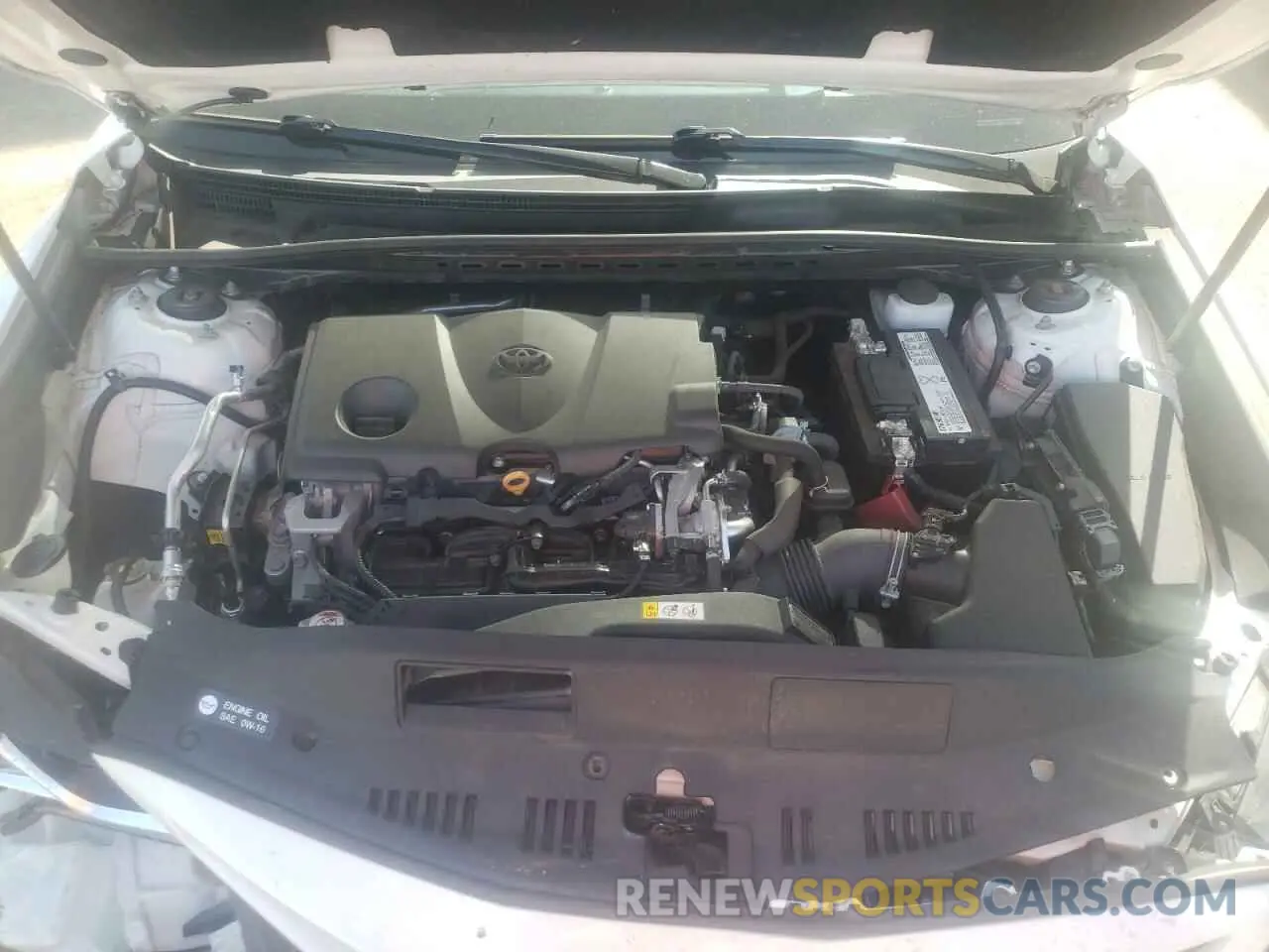 7 fotografías del automóvil dañado 4T1B11HK8KU274152 TOYOTA CAMRY 2019