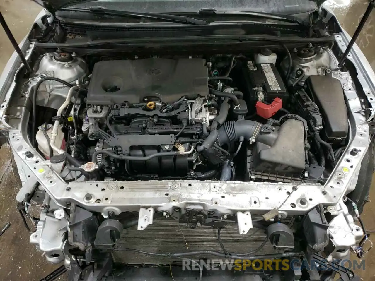 11 fotografías del automóvil dañado 4T1B11HK8KU290867 TOYOTA CAMRY 2019