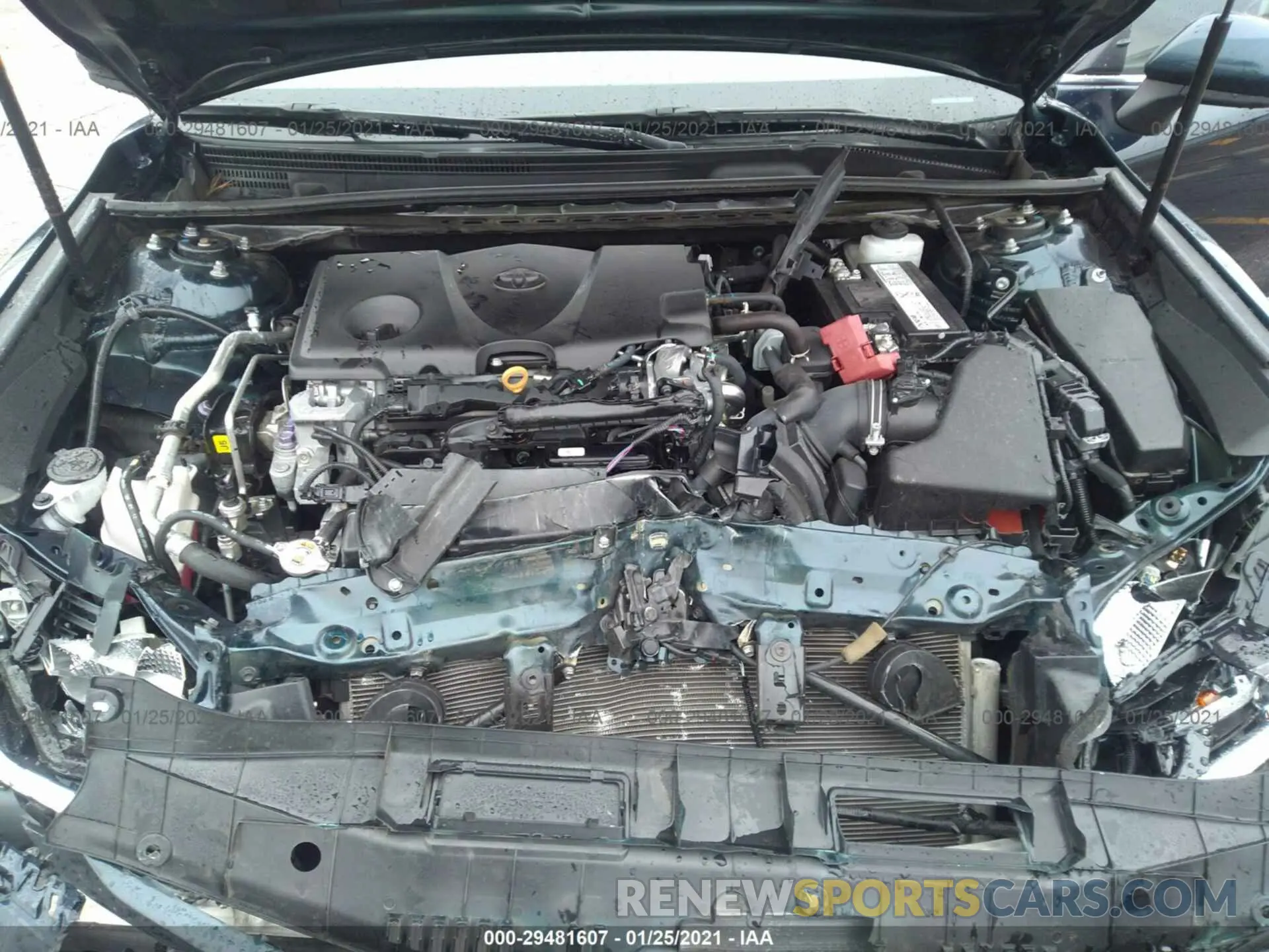 10 fotografías del automóvil dañado 4T1B11HK8KU294627 TOYOTA CAMRY 2019